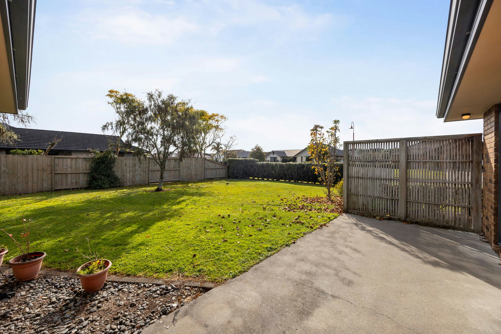 backyard