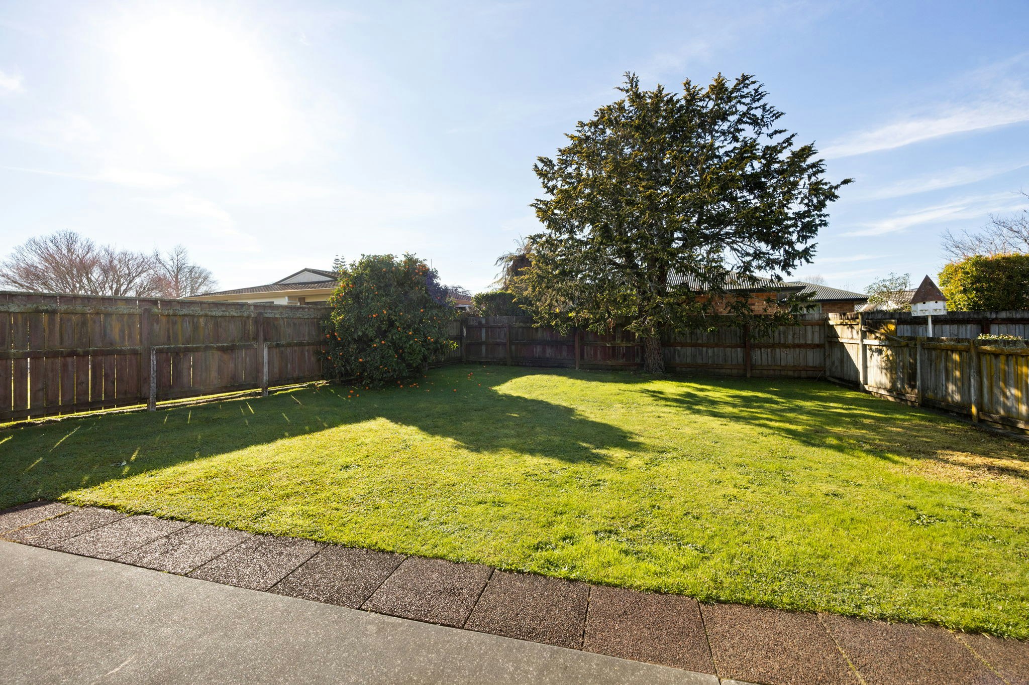backyard