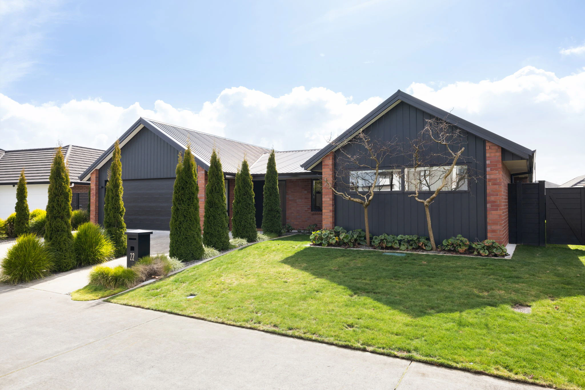 grass