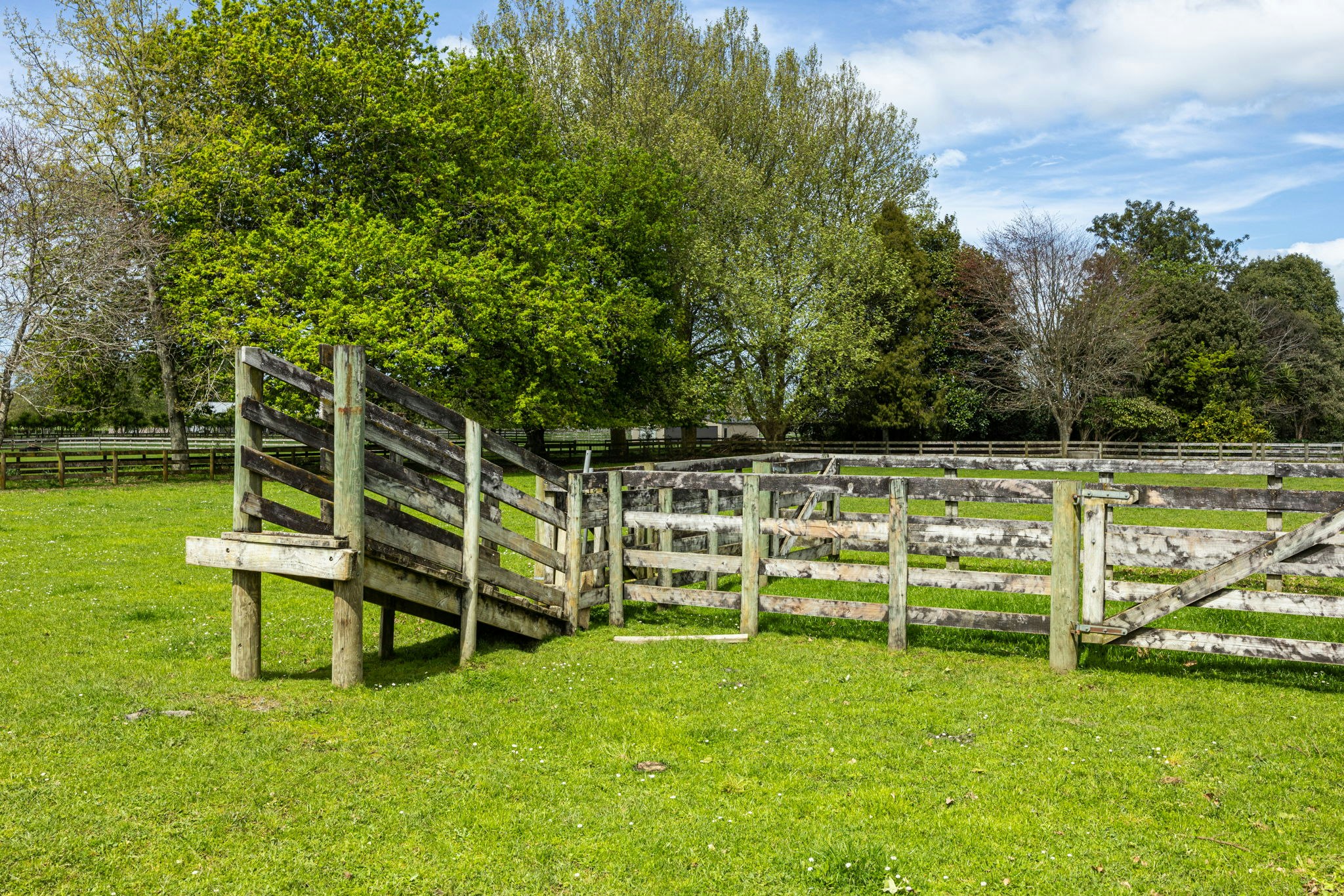 countryside