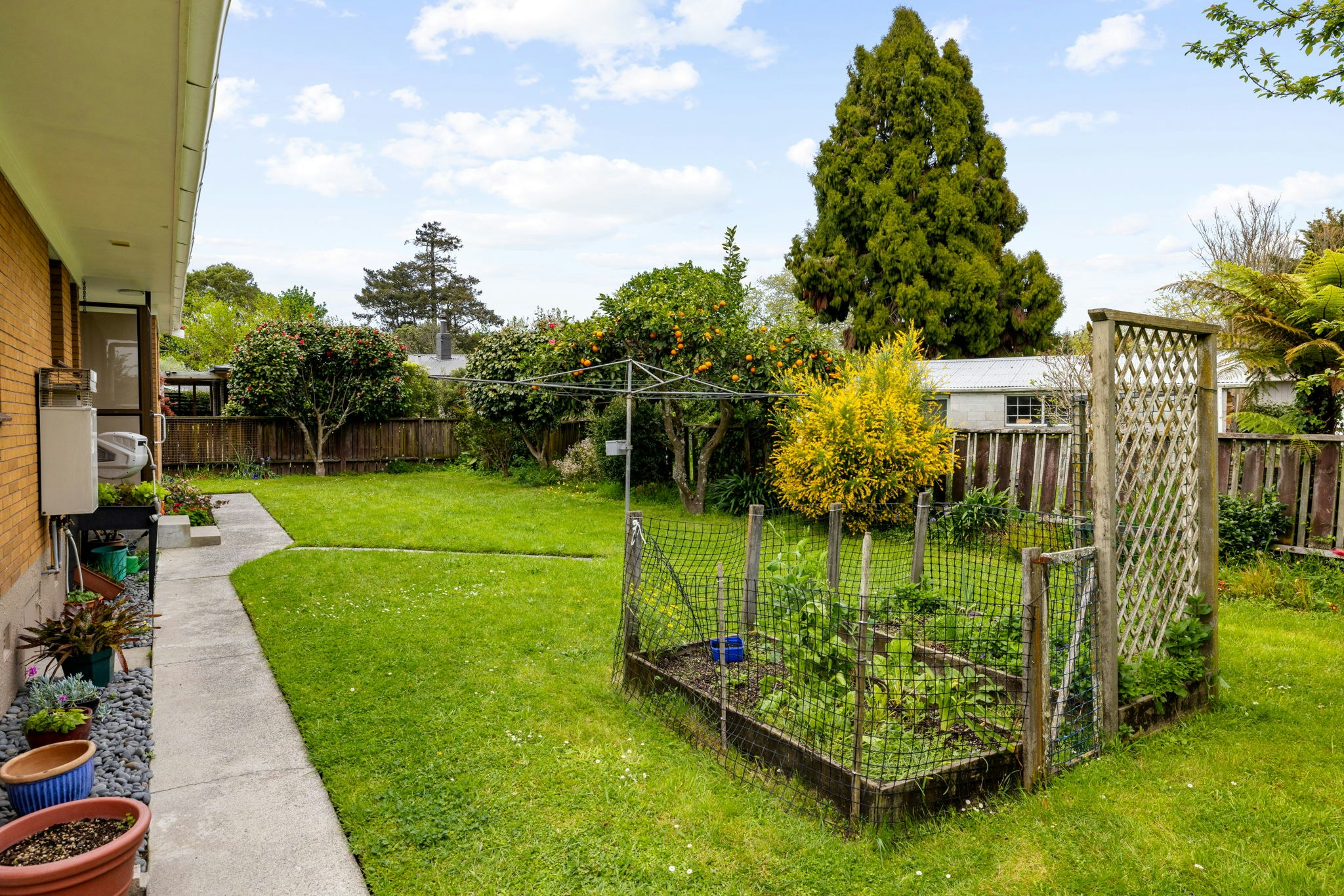 backyard
