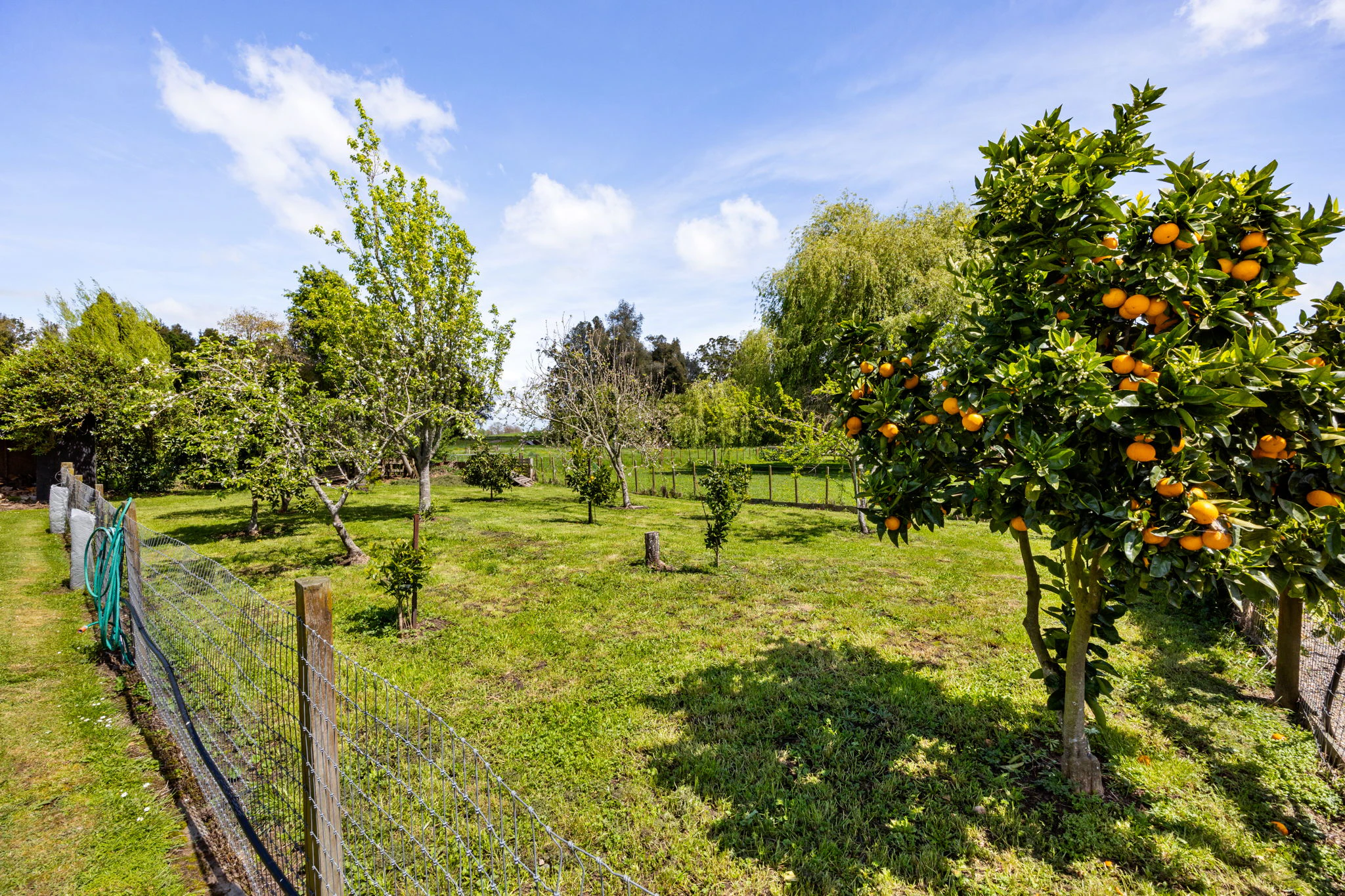countryside
