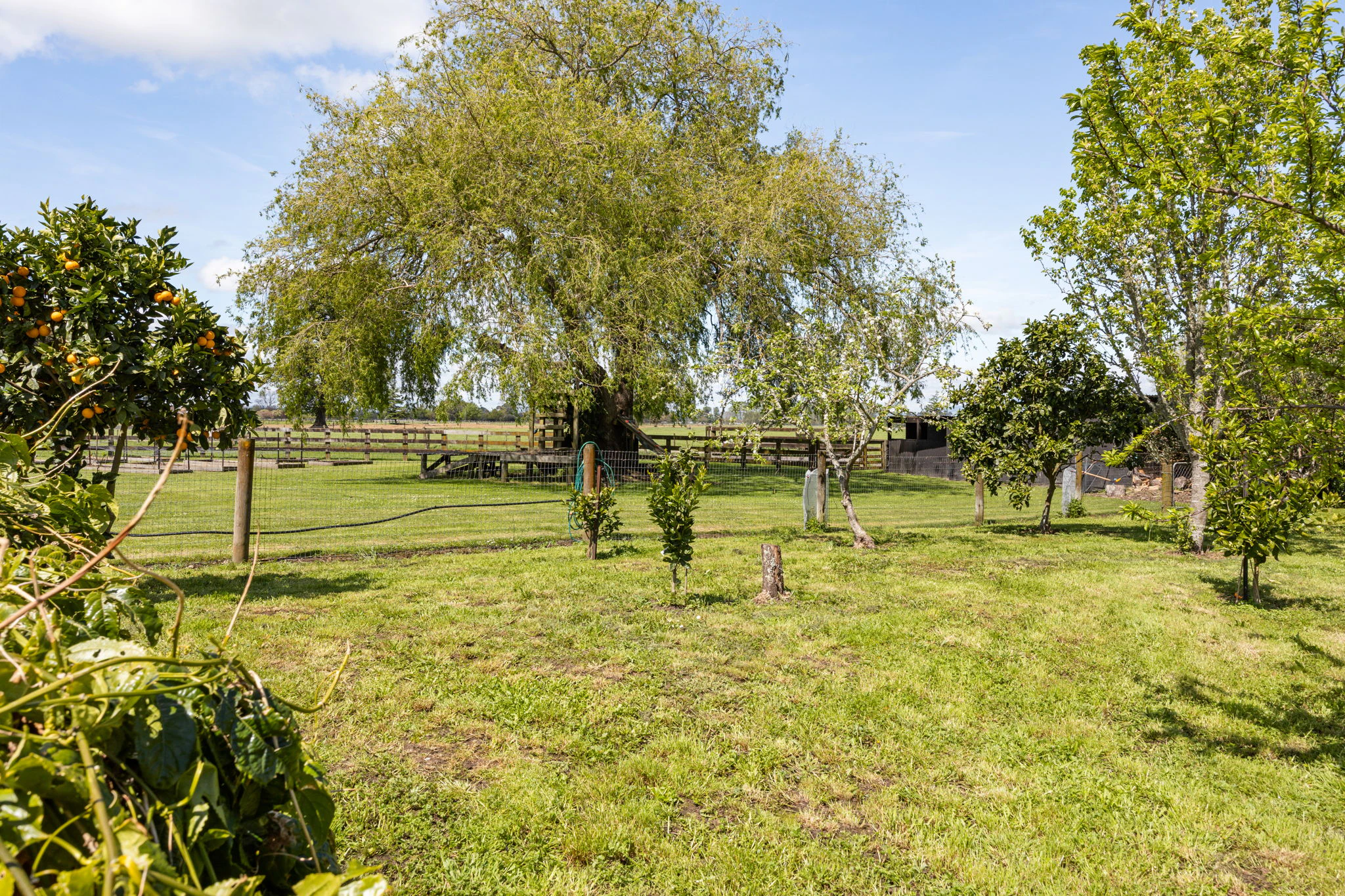 countryside