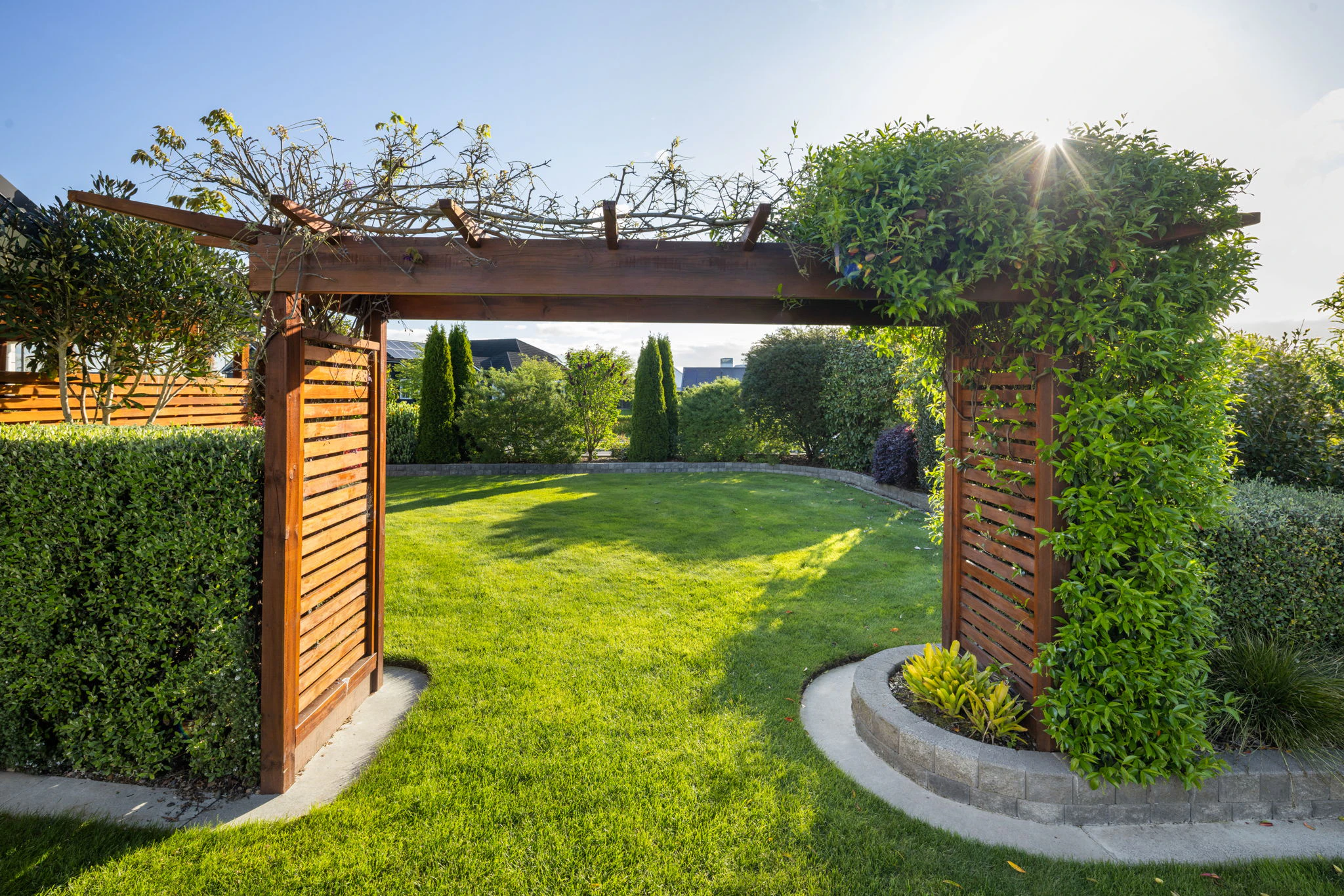 backyard