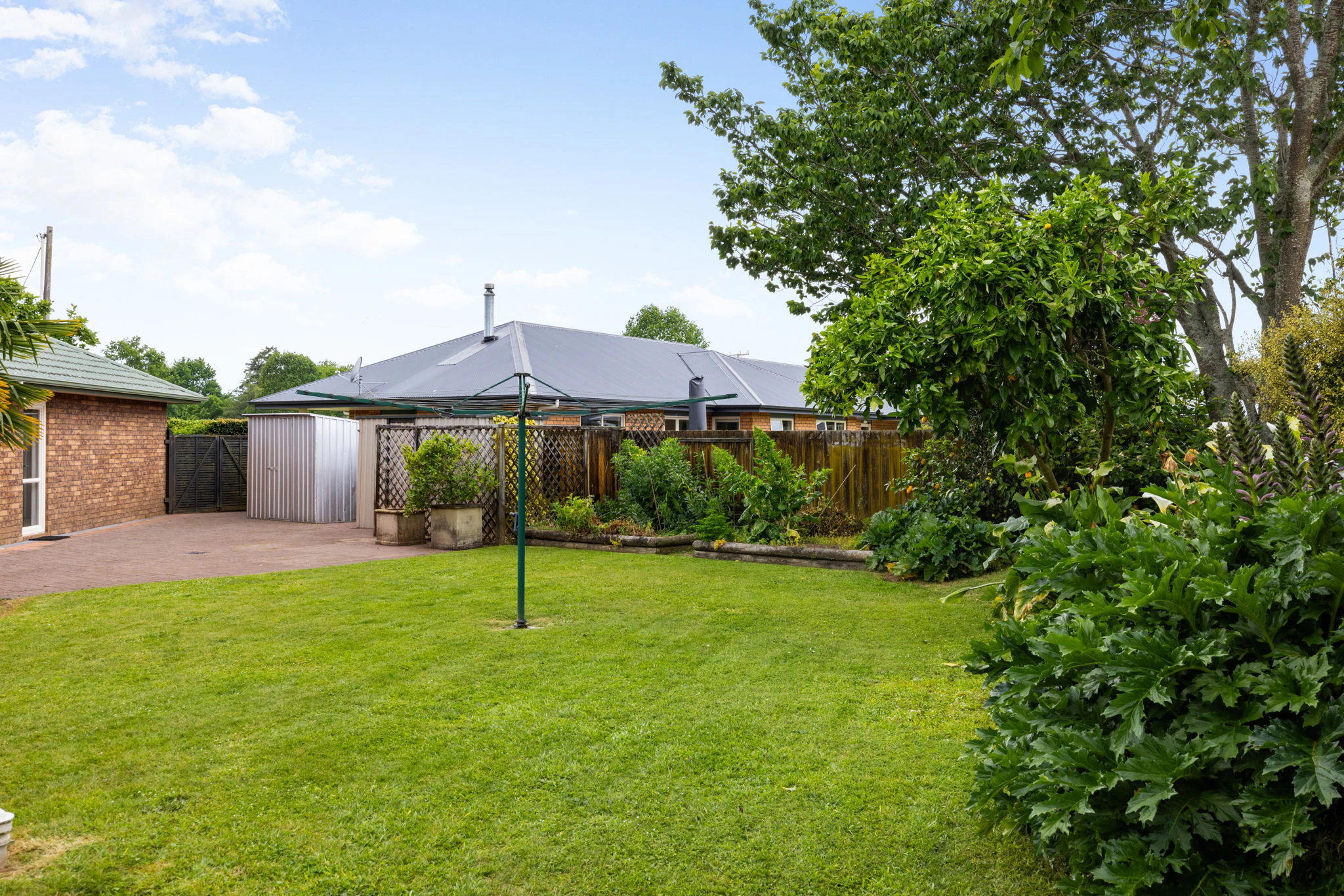 backyard