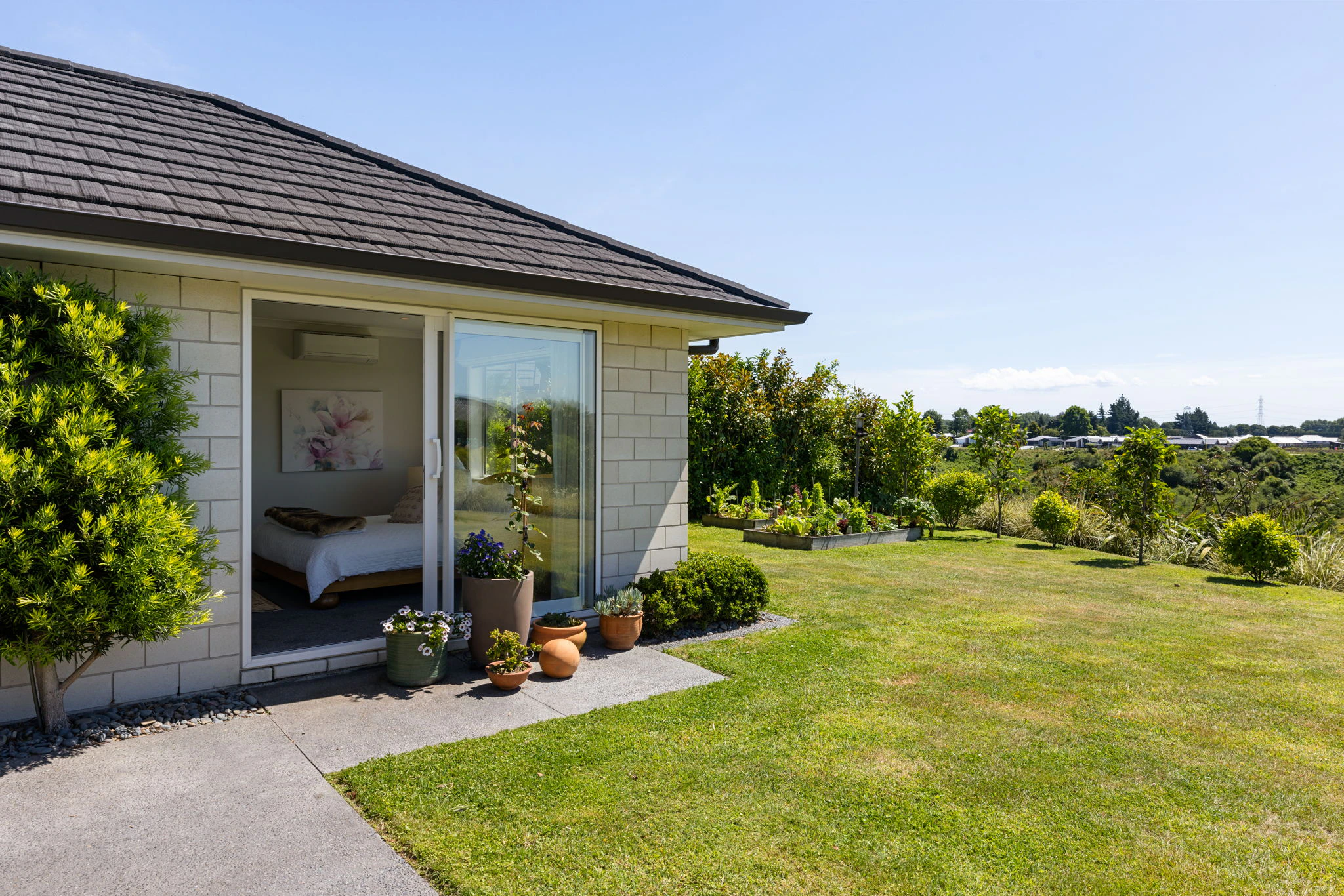 grass