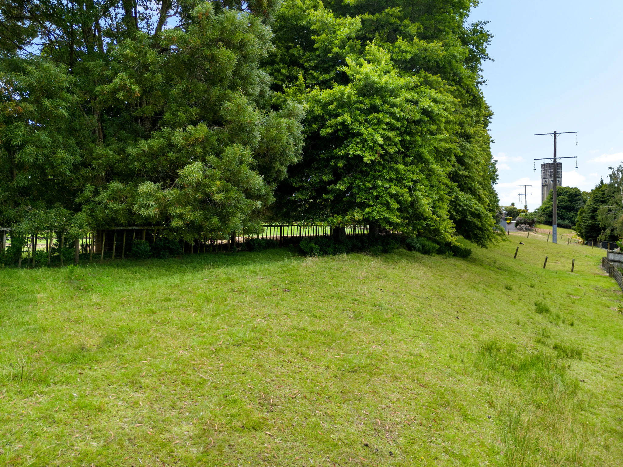 grass