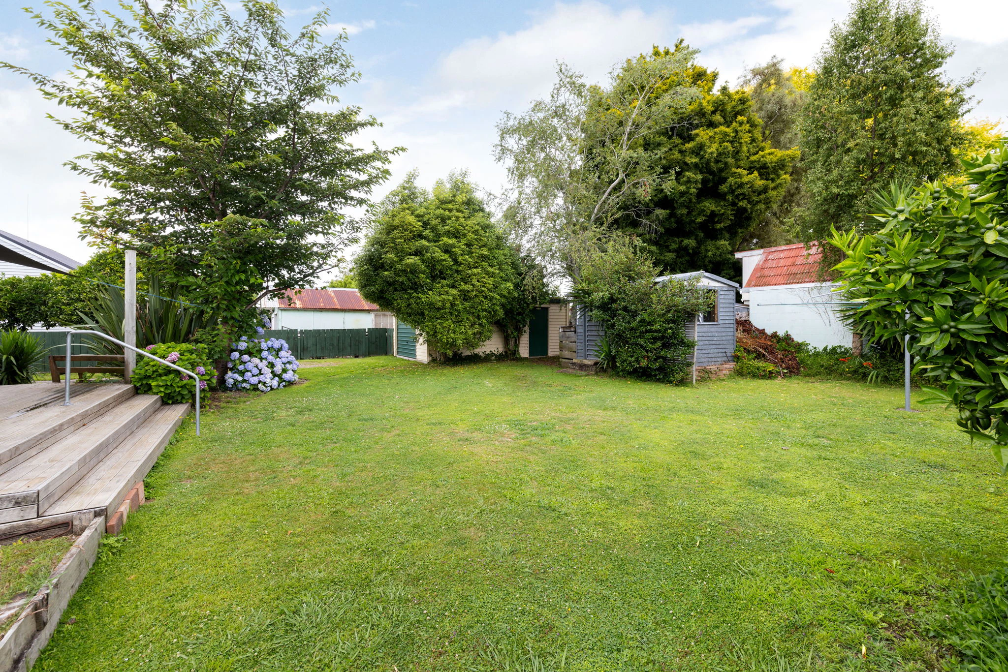 backyard