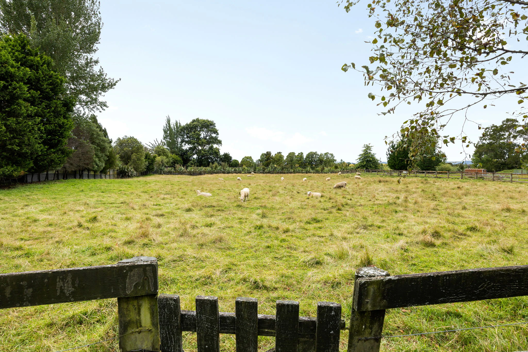 countryside