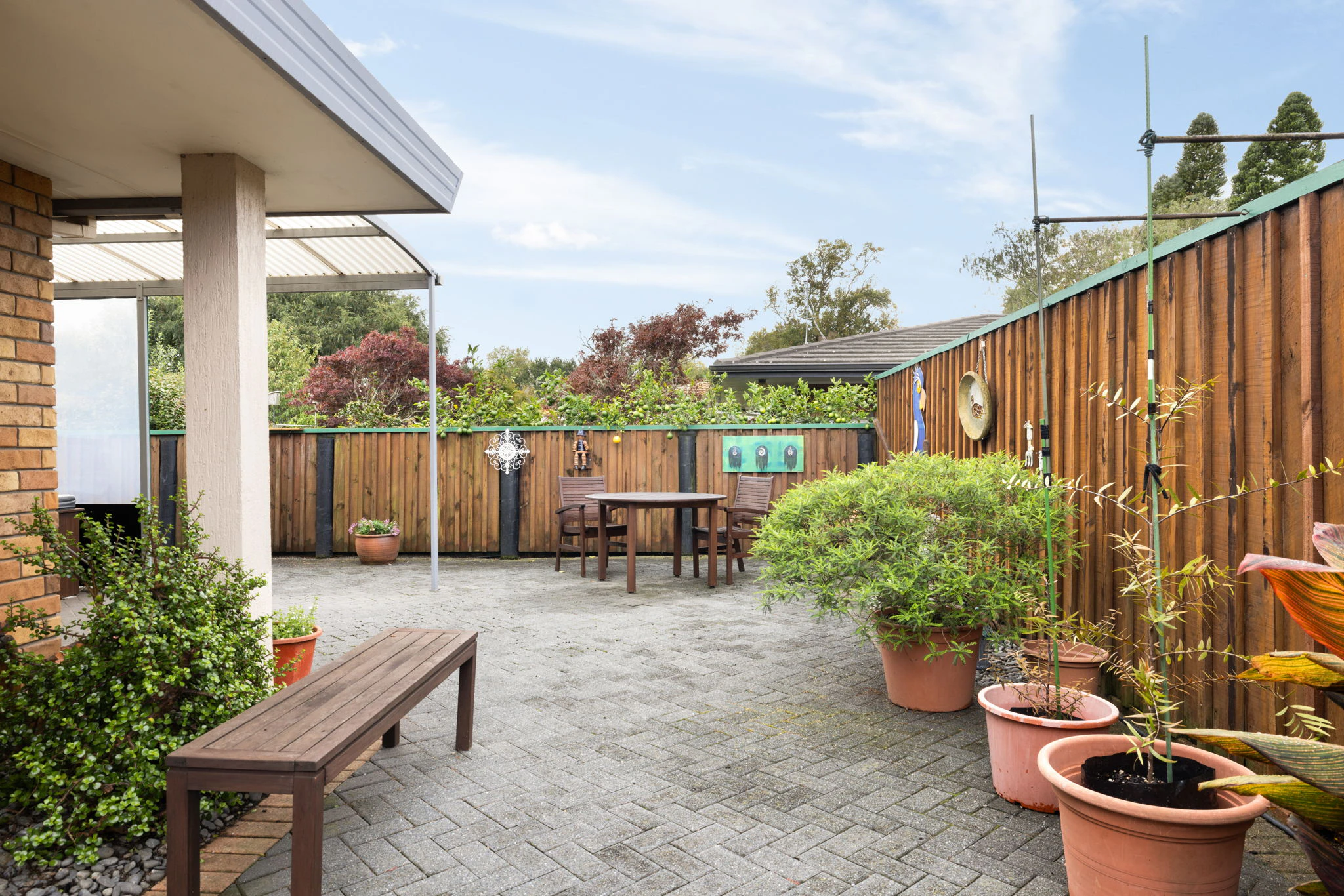 backyard