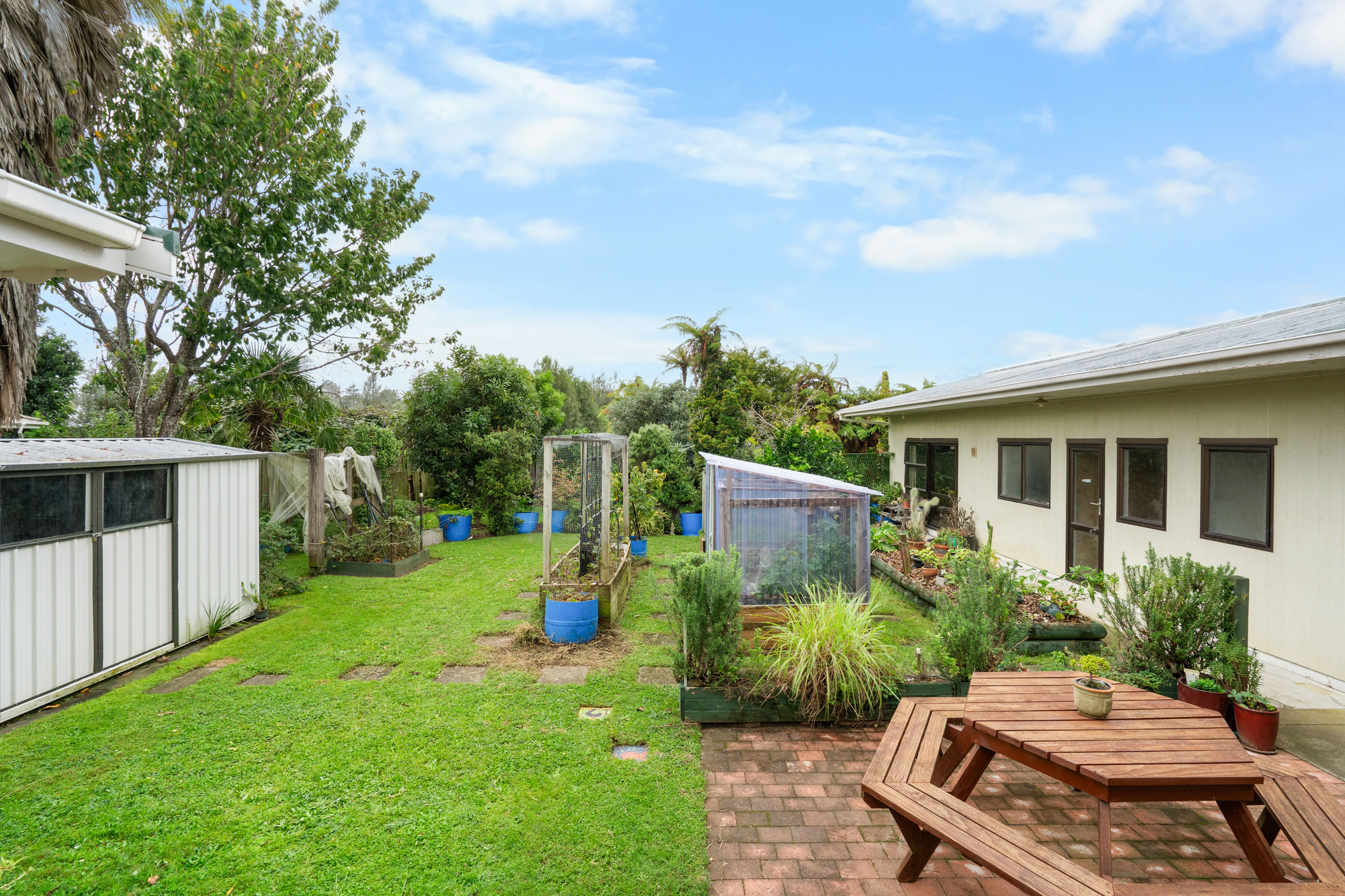 backyard