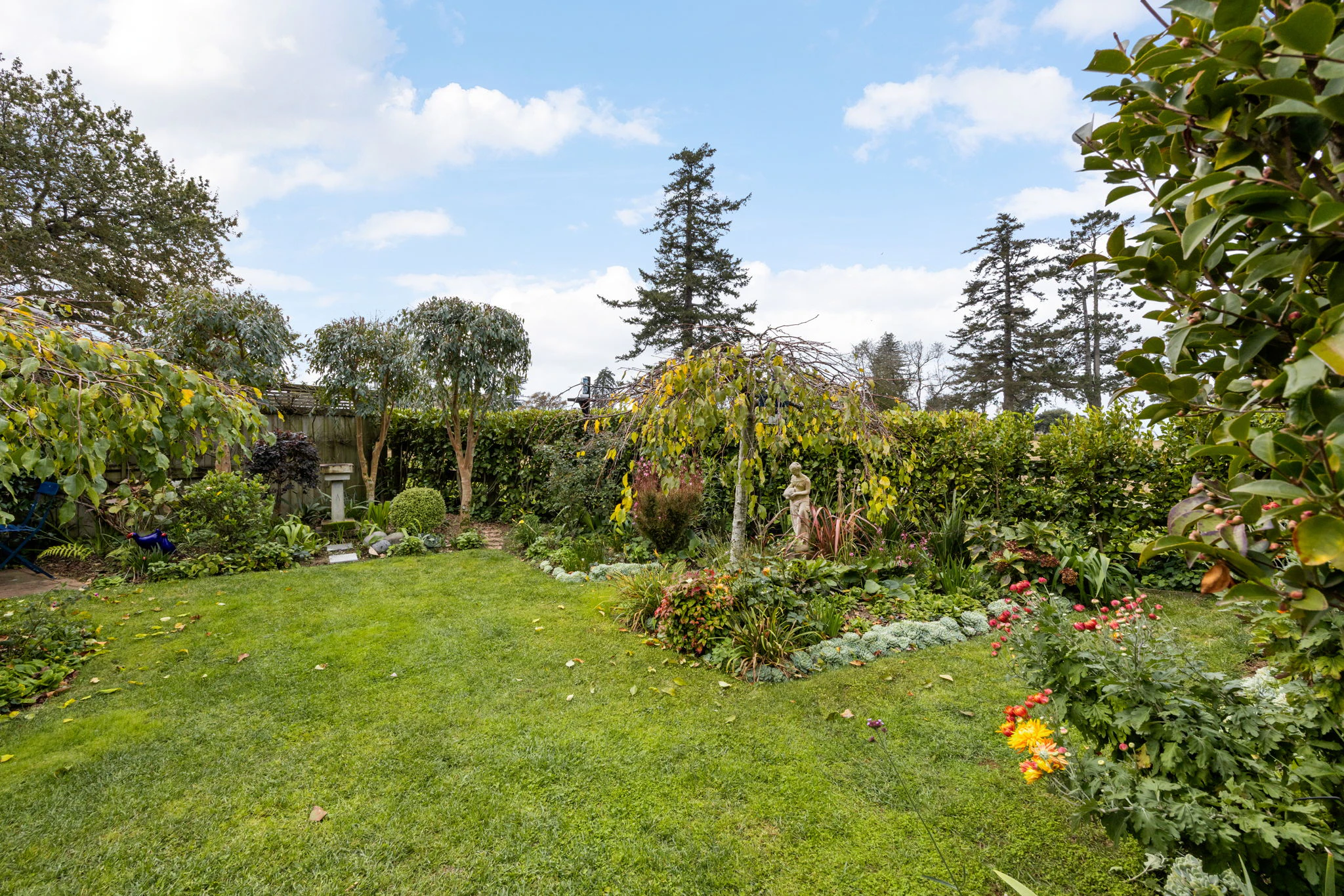 garden