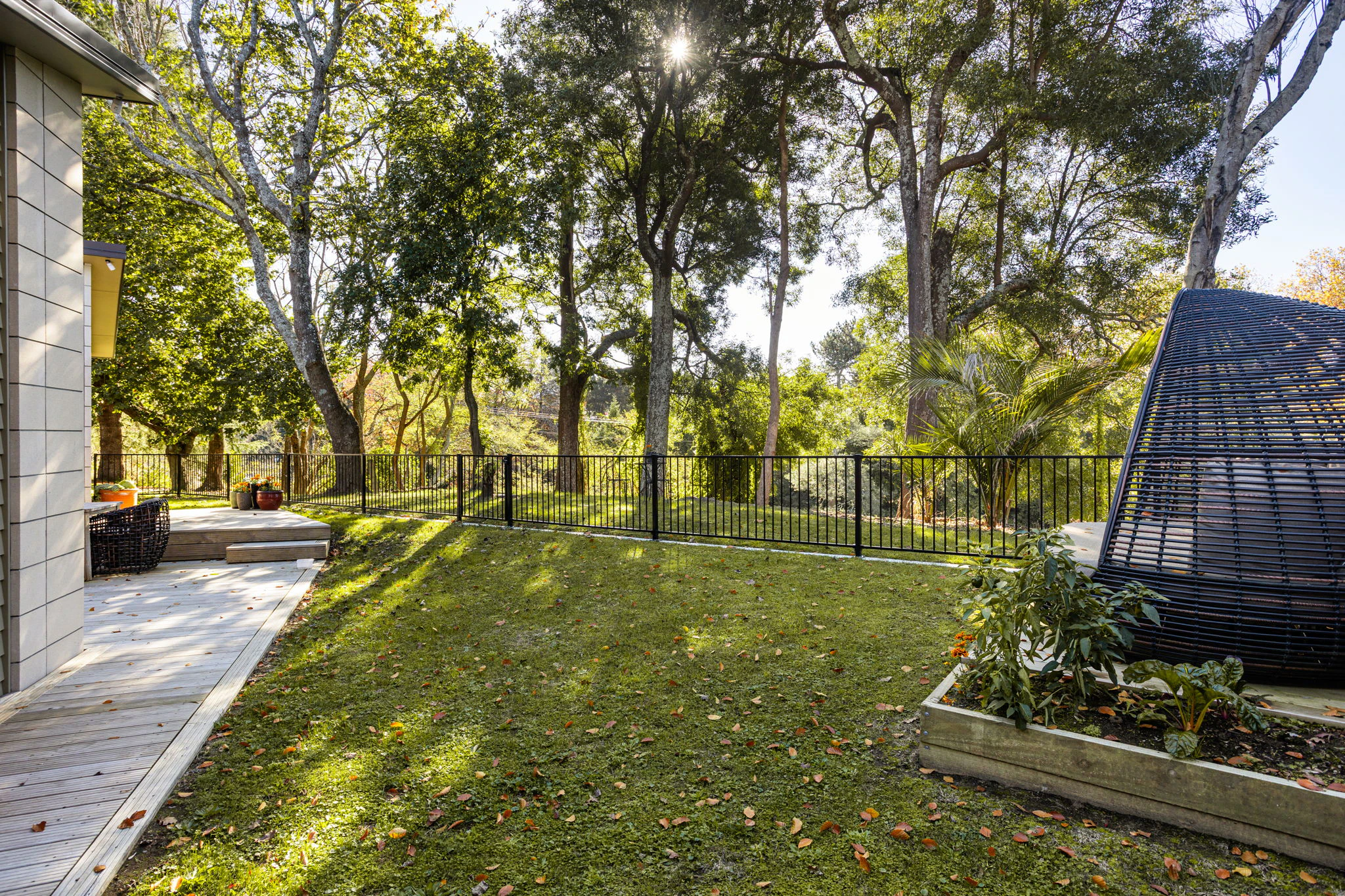 backyard