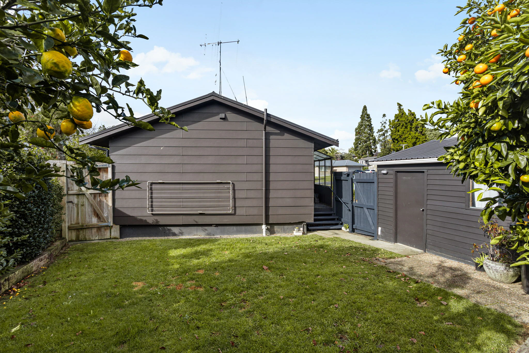 backyard
