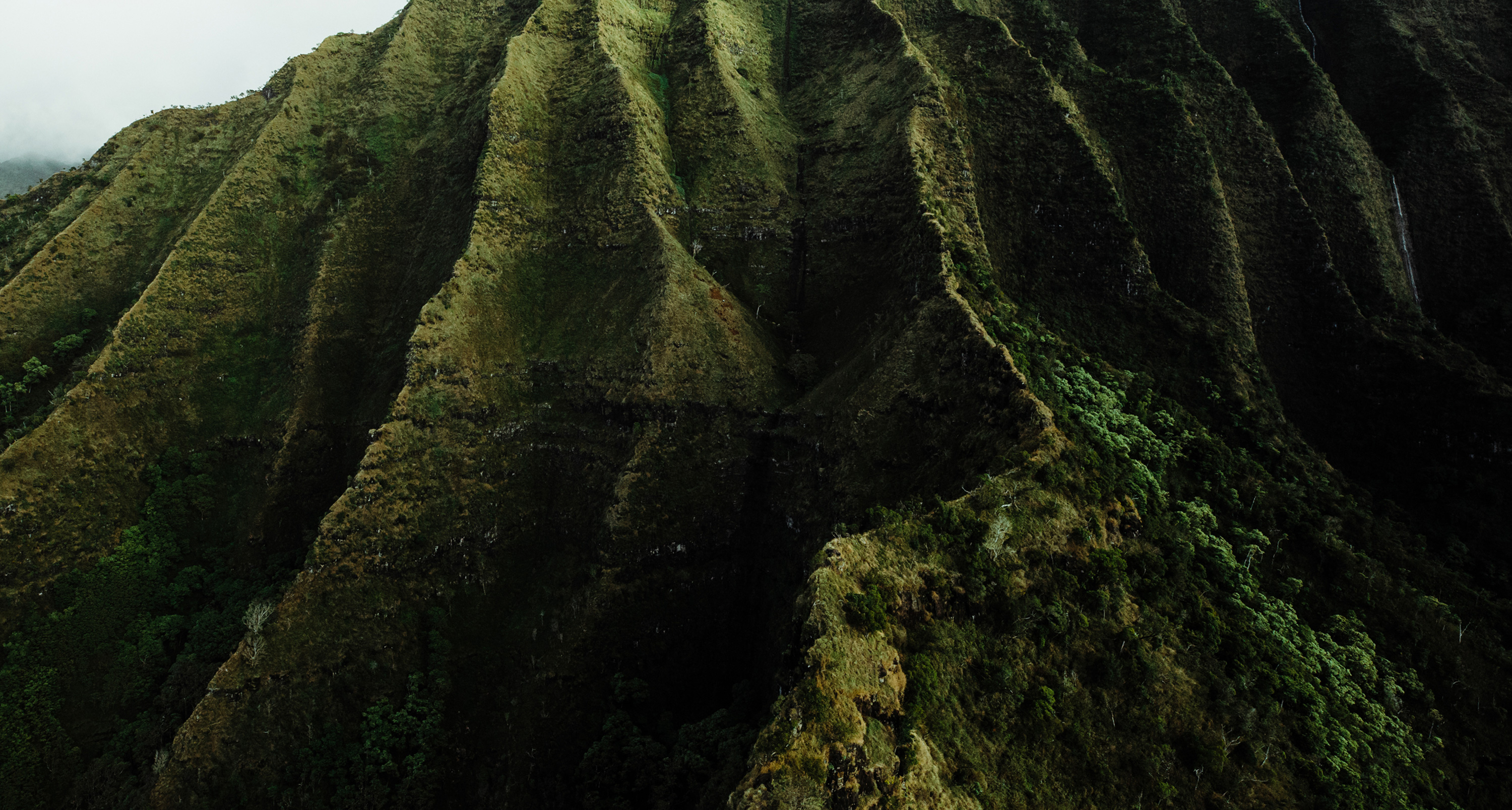 north-shore_editorial-bg