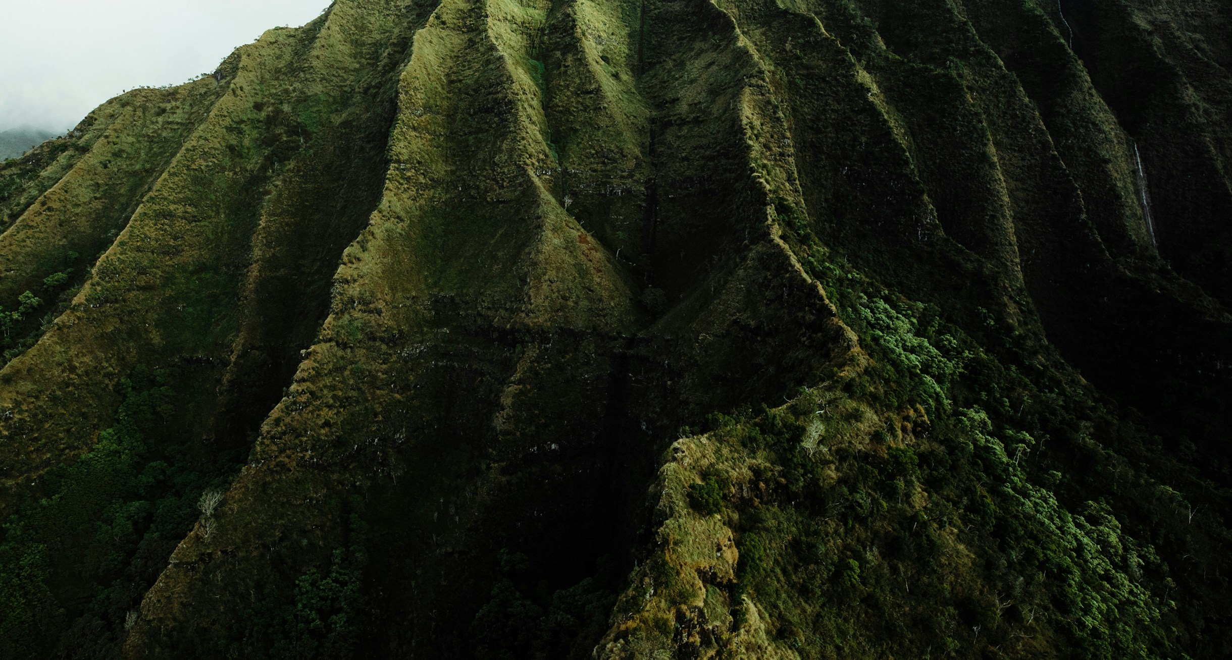 north-shore_editorial-bg