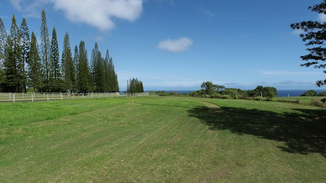 Oceanside Ranch 49 3