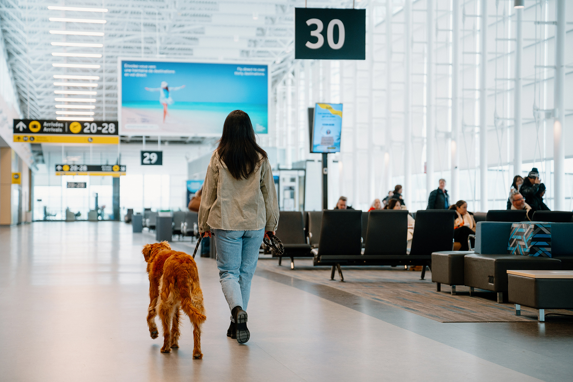 Une femme promène un golden retriever tenu en laisse dans un terminal d'aéroport baigné de lumière ; on aperçoit en arrière-plan des personnes assises et de grands panneaux indiquant les portes d'embarquement.