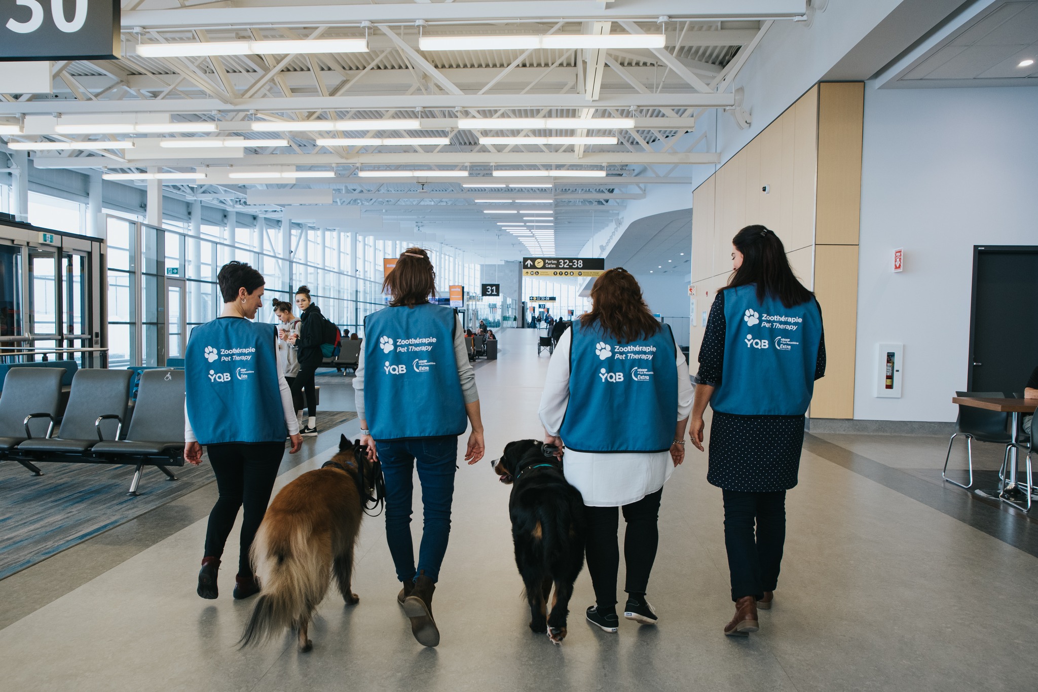Quatre personnes vêtues de gilets bleus traversent le hall d'un aéroport en compagnie de deux chiens. Le groupe s'éloigne de la caméra en direction des panneaux indiquant les portes d'embarquement. L'endroit est baigné de lumière naturelle et pratiquement désert.
