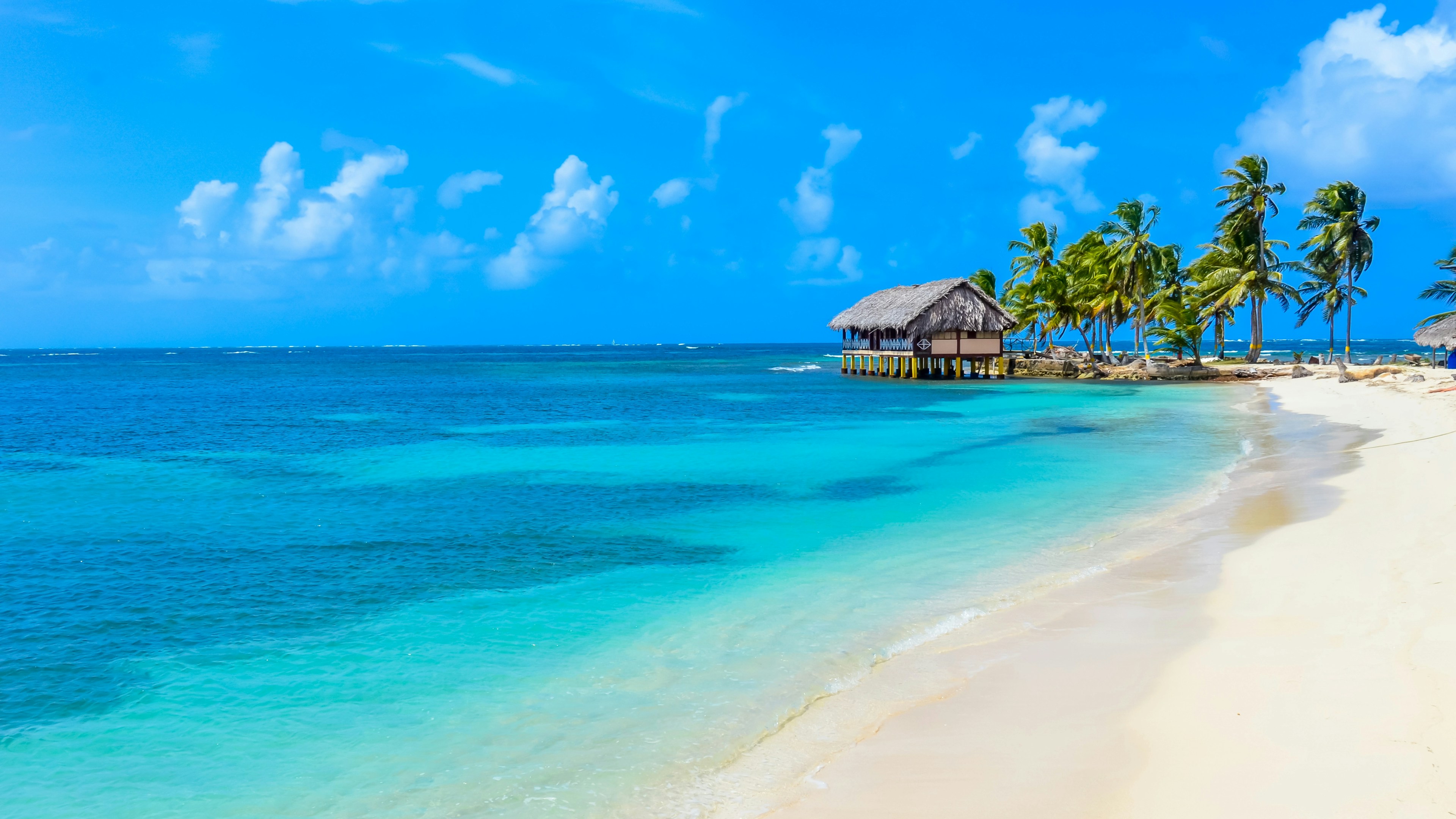 Une plage tropicale immaculée aux eaux turquoise, au sable blanc et fin, bordée de grands palmiers, avec une cabane au toit de chaume sur pilotis au-dessus de l'océan, sous un ciel bleu éclatant parsemé de nuages.