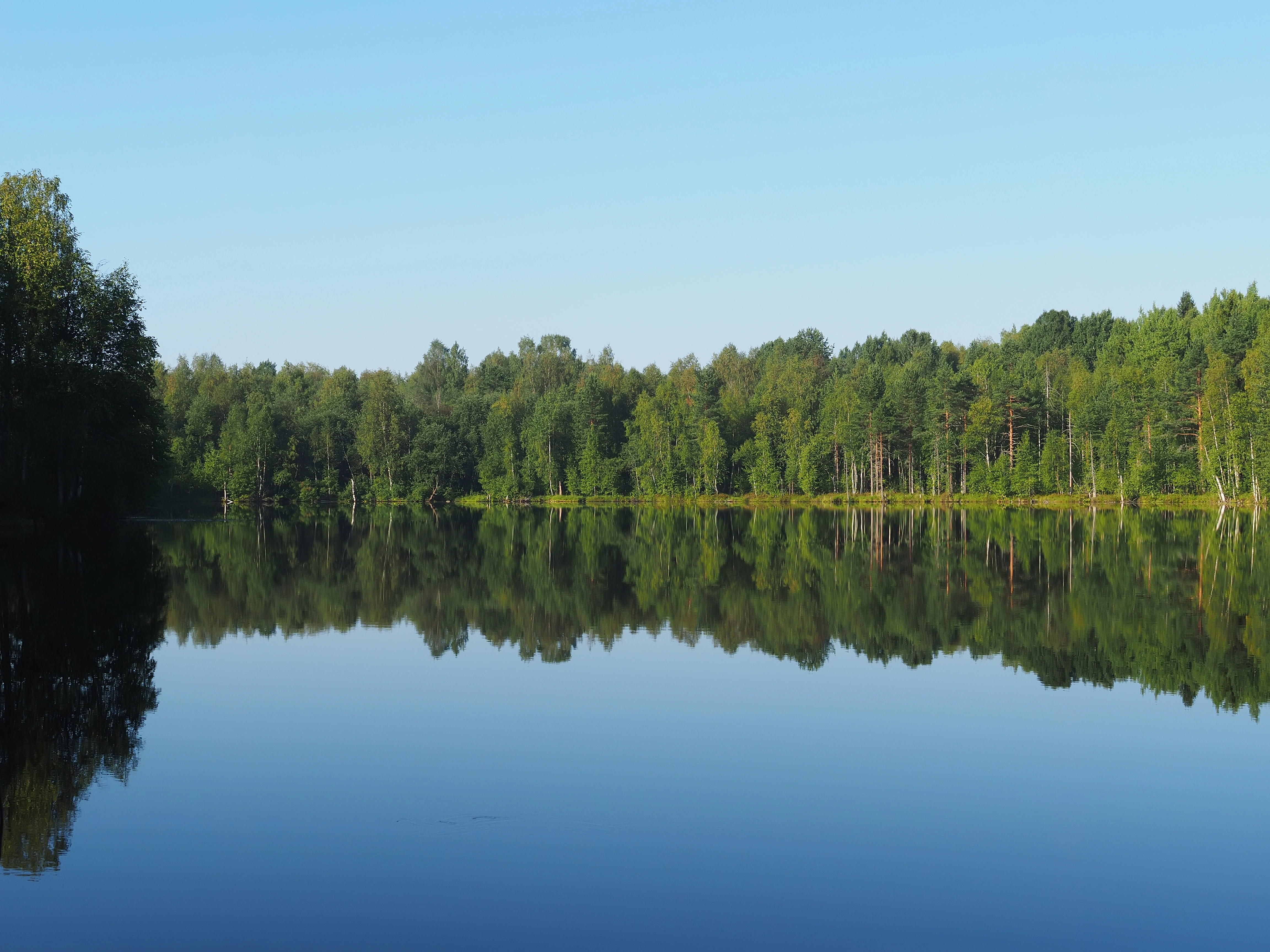 Par une journée ensoleillée, un lac paisible reflète une forêt dense d'arbres verts sous un ciel bleu limpide.