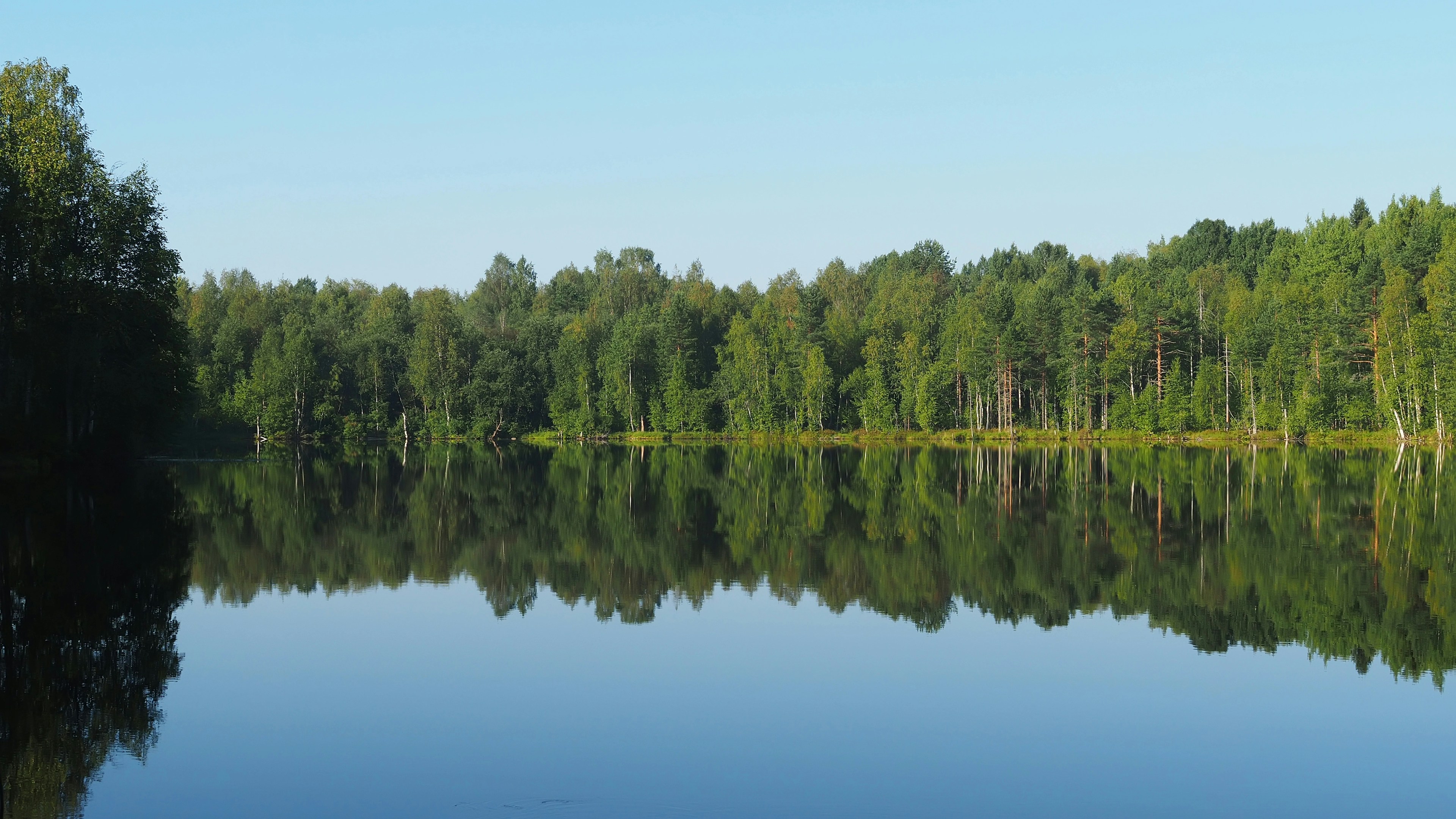 Par une journée ensoleillée, un lac paisible reflète une forêt dense d'arbres verts sous un ciel bleu limpide.
