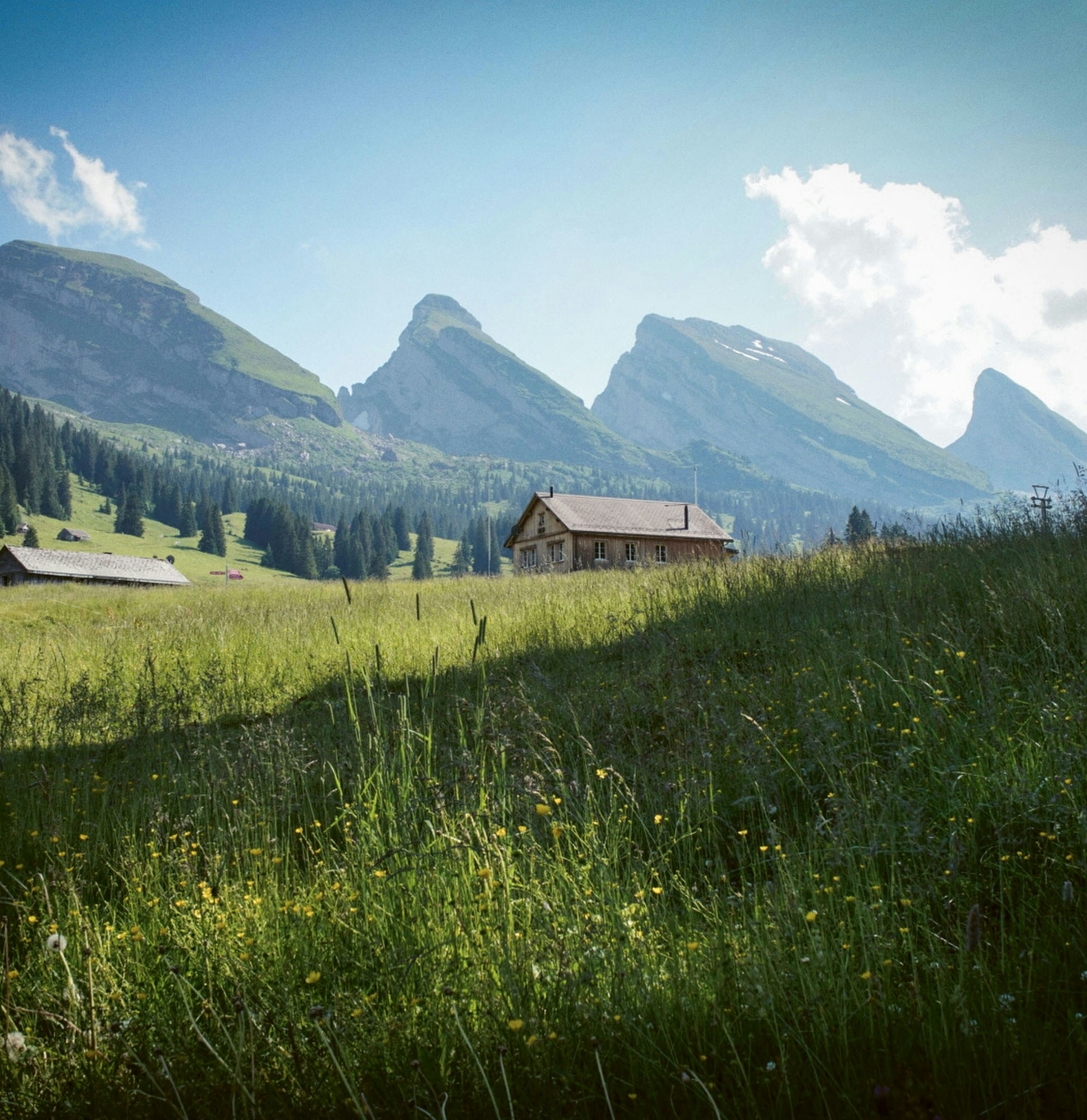 Eine grüne Wiese mit einer Berghütte