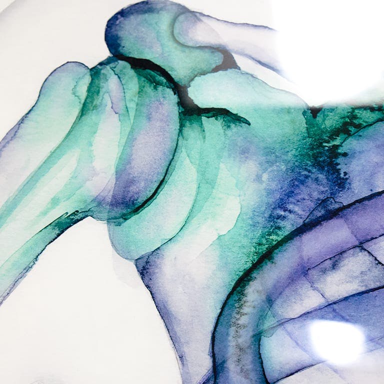 water color painting of a shoulder bone