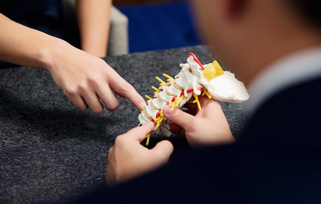 doctor showing a patient a piece of fake spine