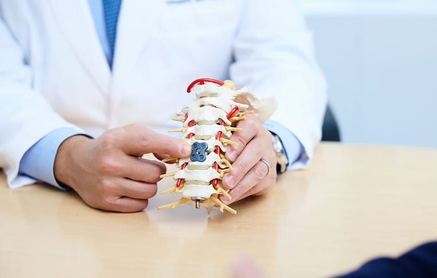 doctor pointing to a fake spine