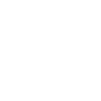 Spine