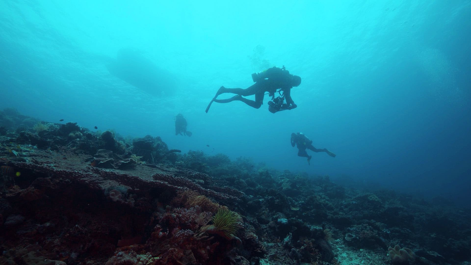 OceanX