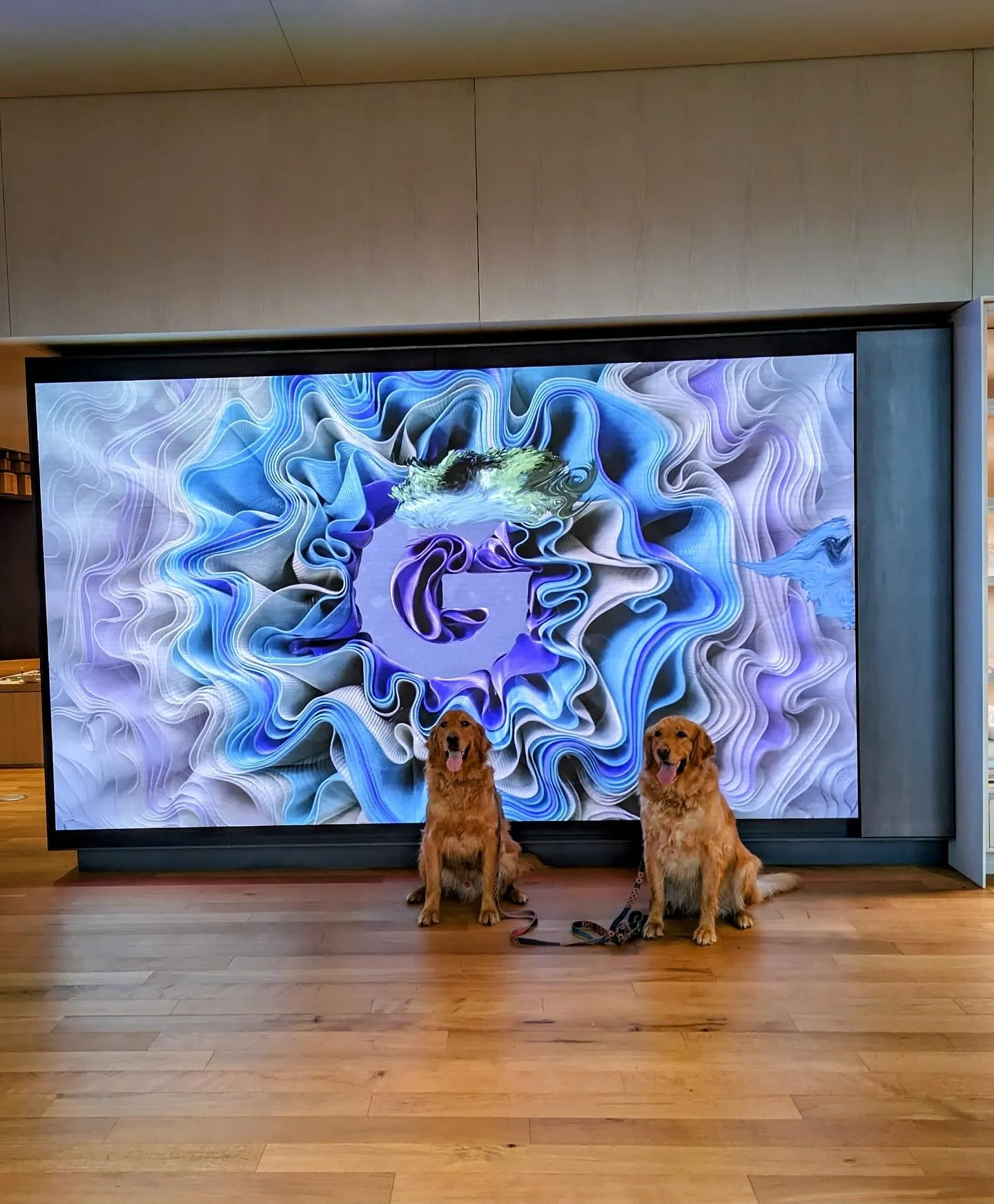 Google Mountain View Store Opening