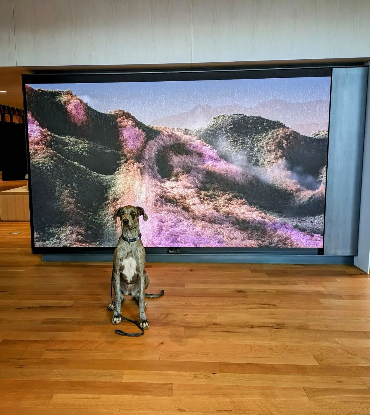 Google Mountain View Store Opening