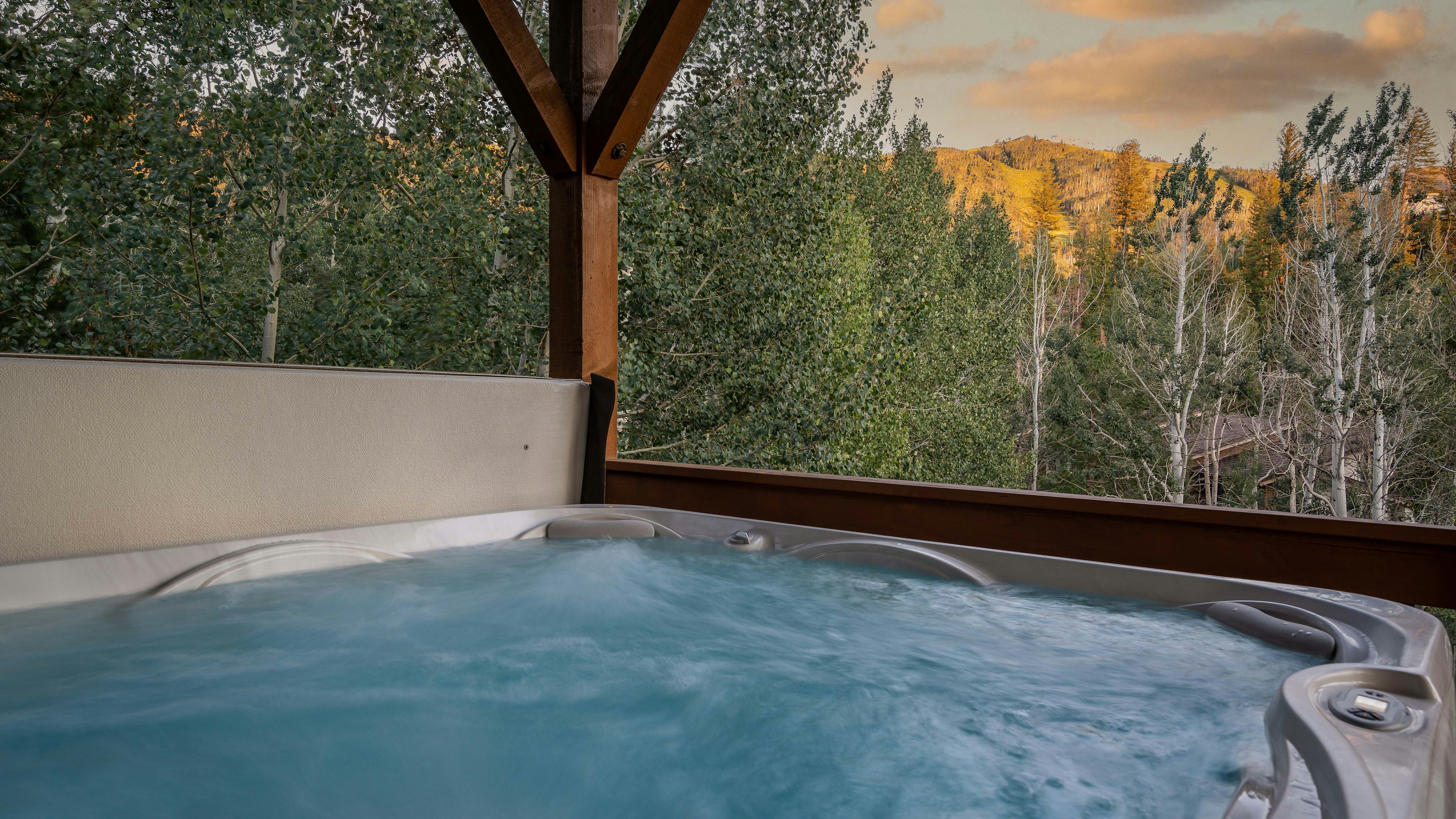 Brown Bear Chalet, photo 3