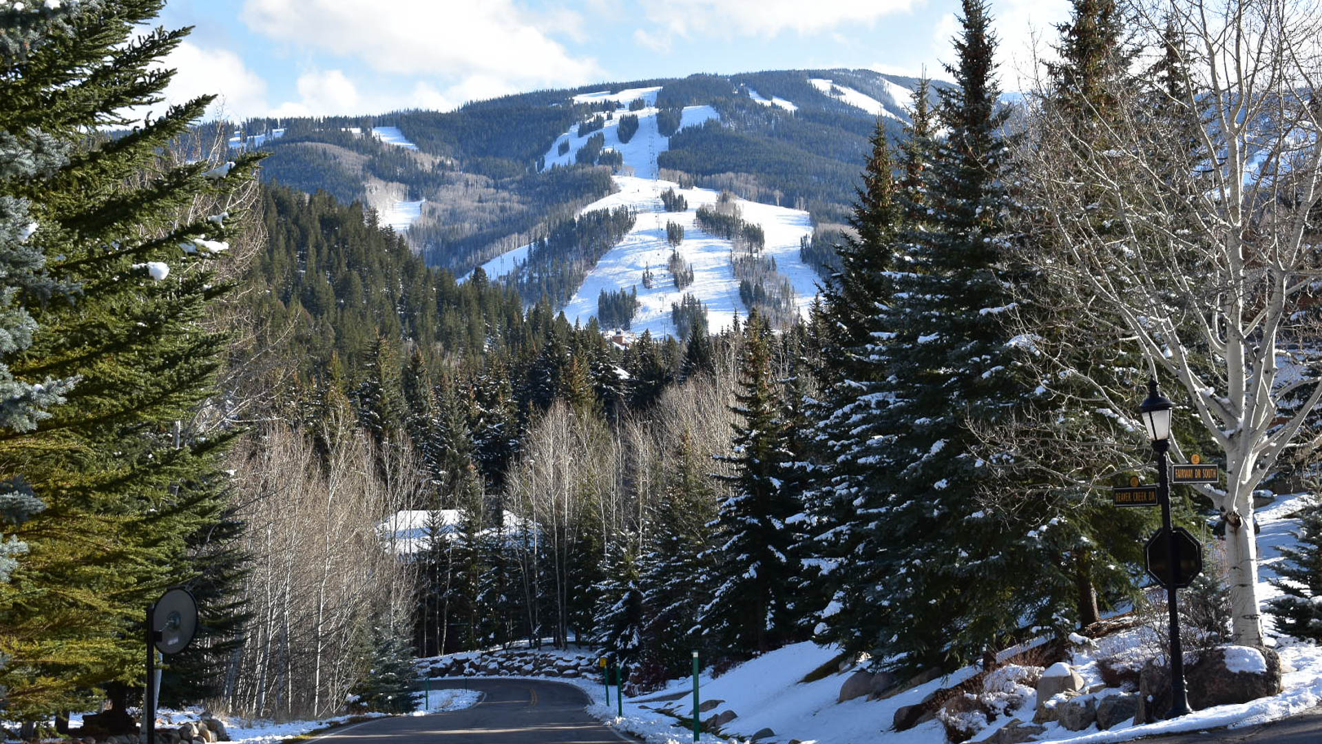 Chalet Fairway photo 3
