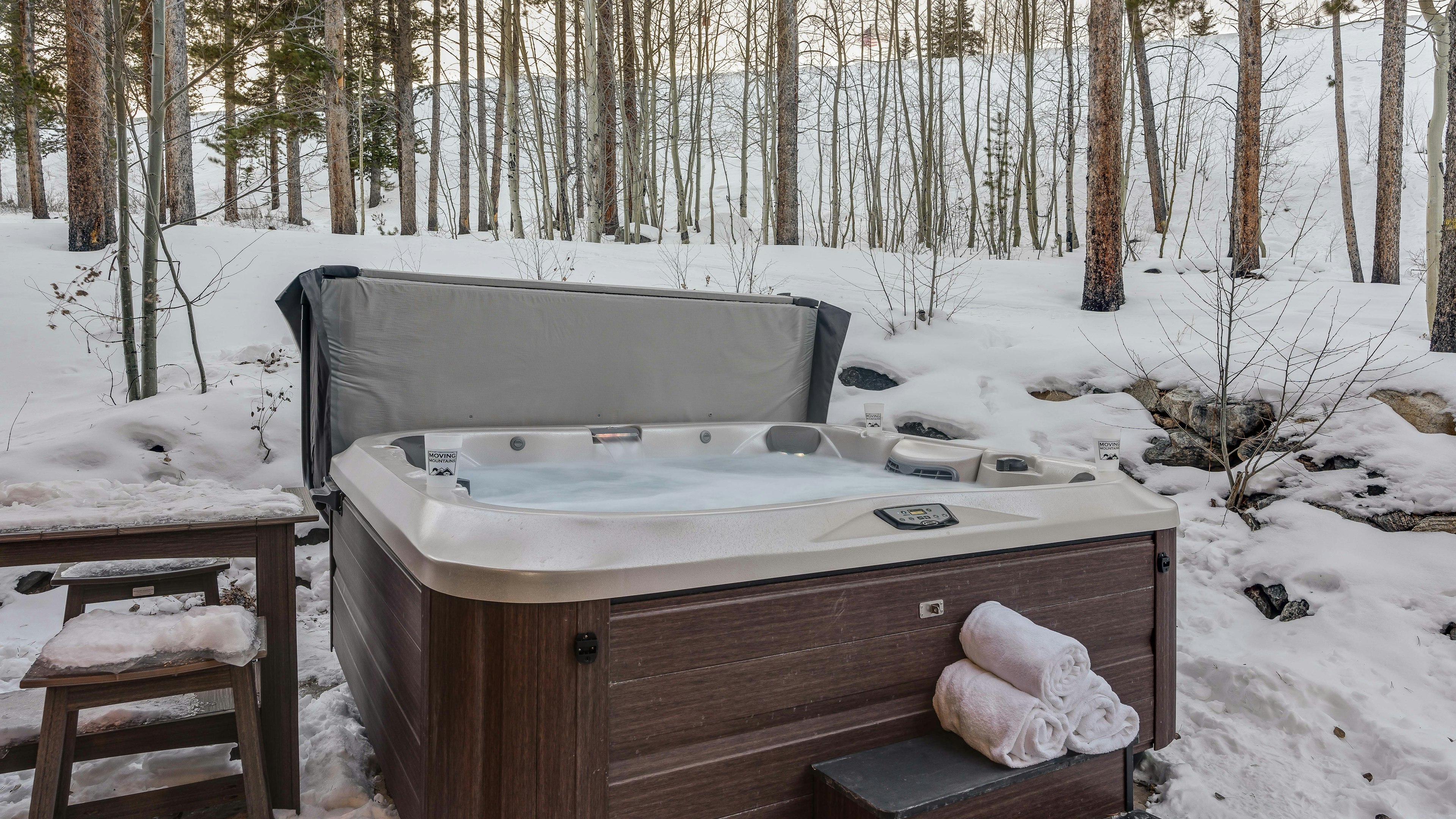 Majestic Mountain Lodge, photo 2