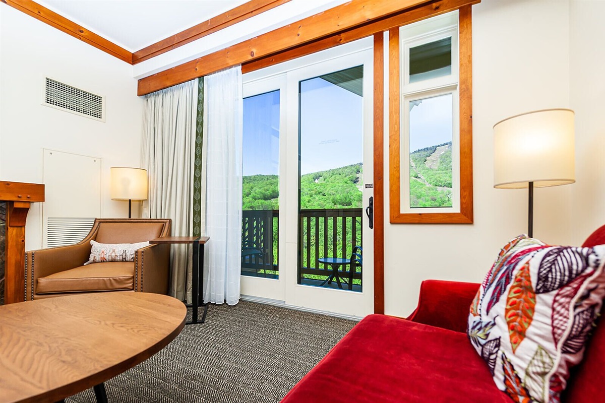 1517 Spruce Peak photo 4