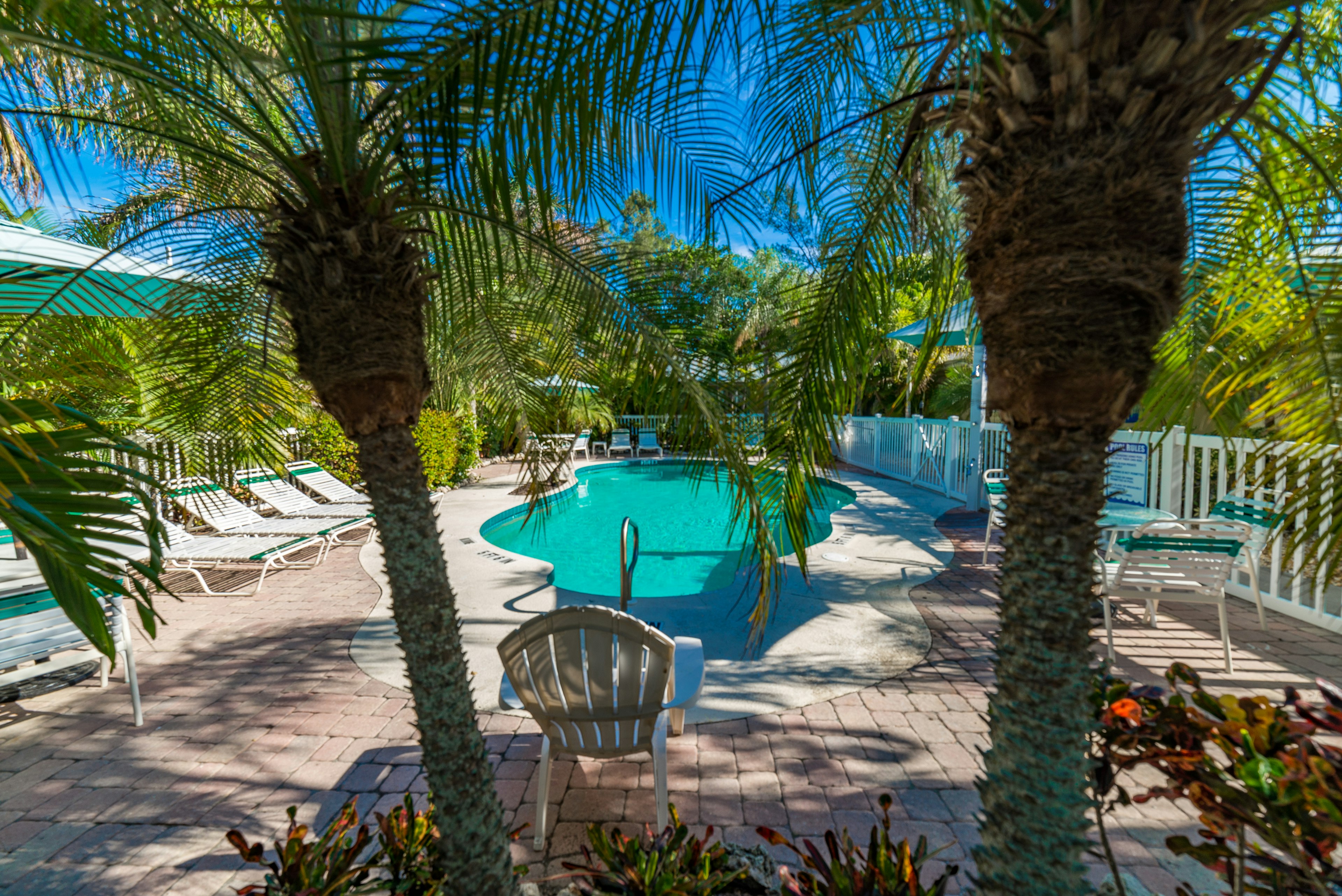Poolside lounge chairs for sunbathing
