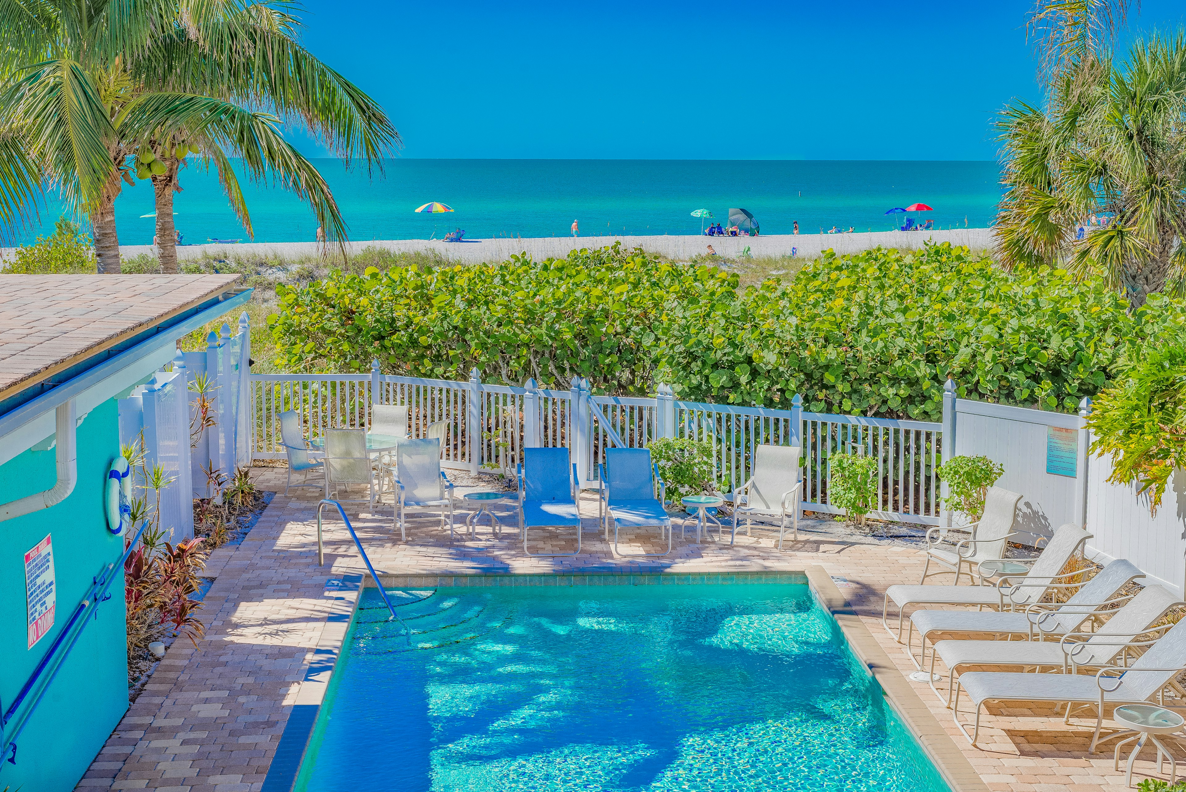 Heated Beachfront Community Pool and Loungers
