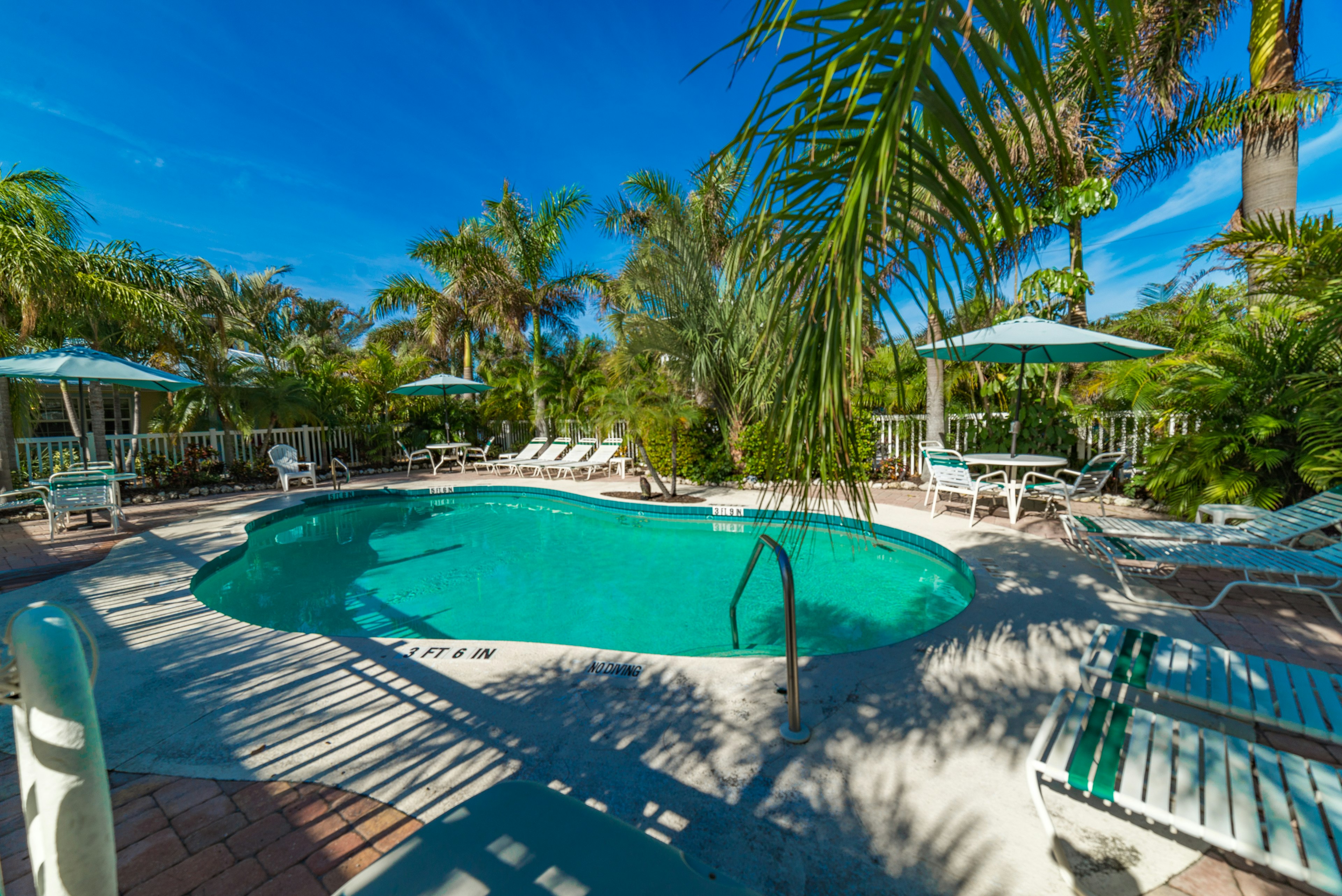 Shared pool