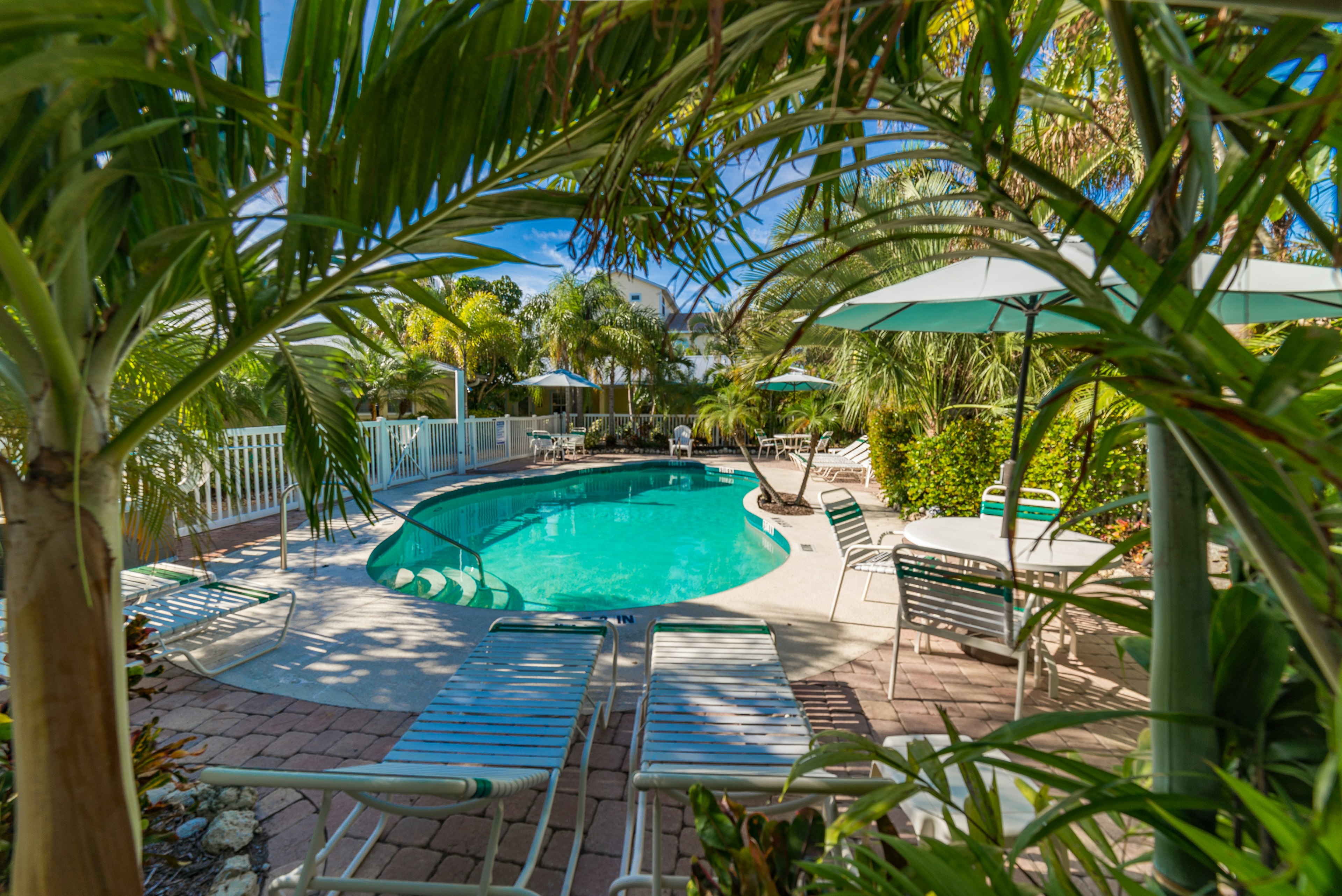 Shared pool with loungers, dining tables