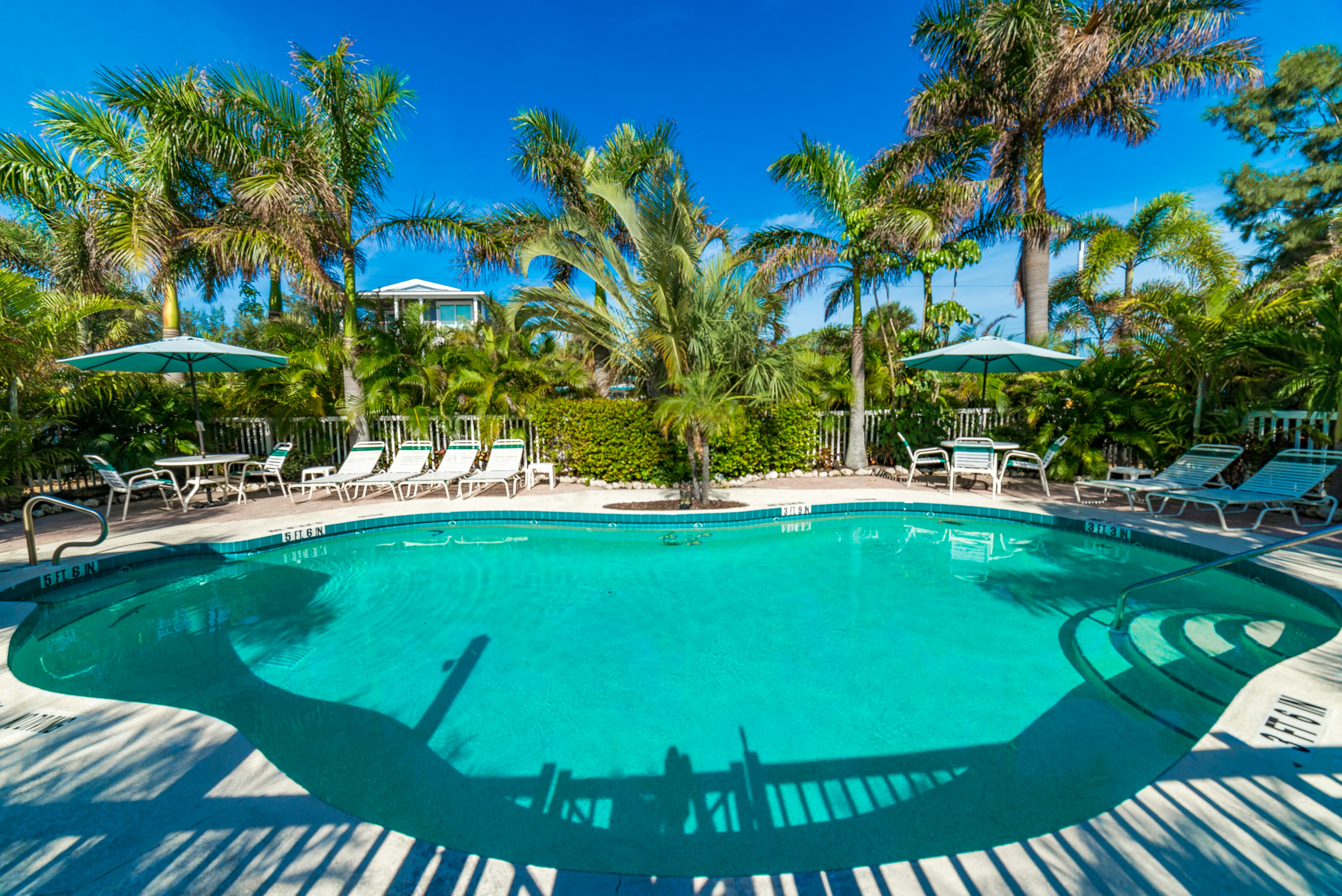 Shared Pool