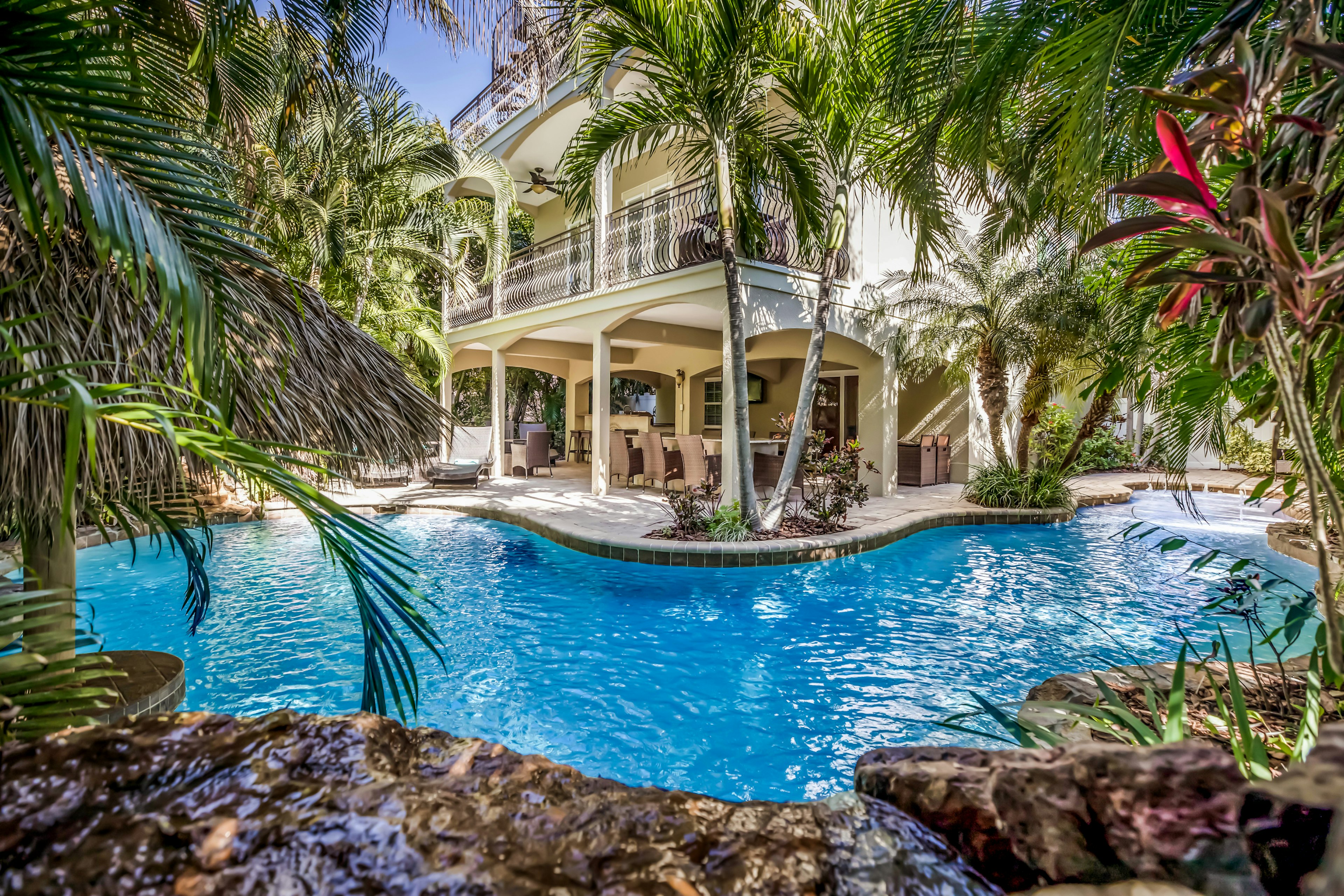 Its A Jungle Out There - By Anna Maria Island Accommodations