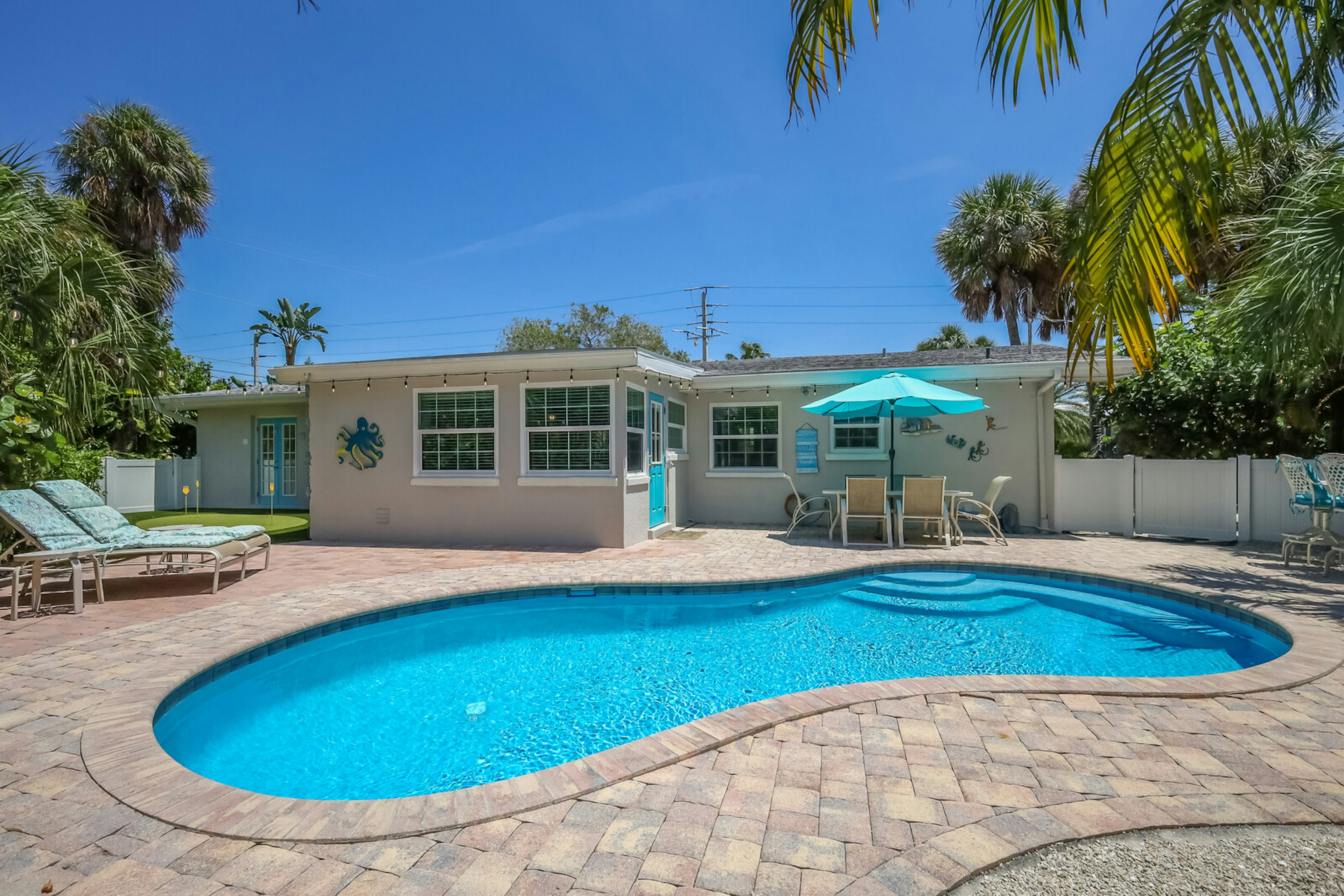 Sea Turtle - By Anna Maria Island Accommodations