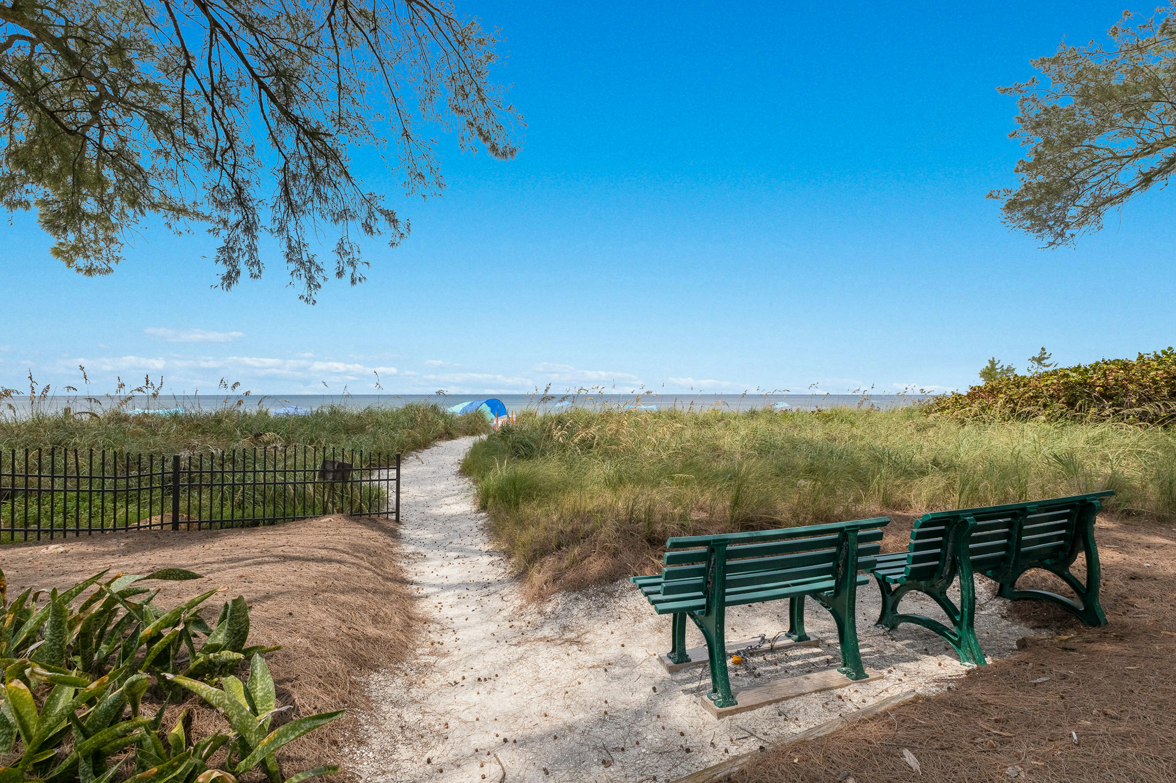 Beachfront