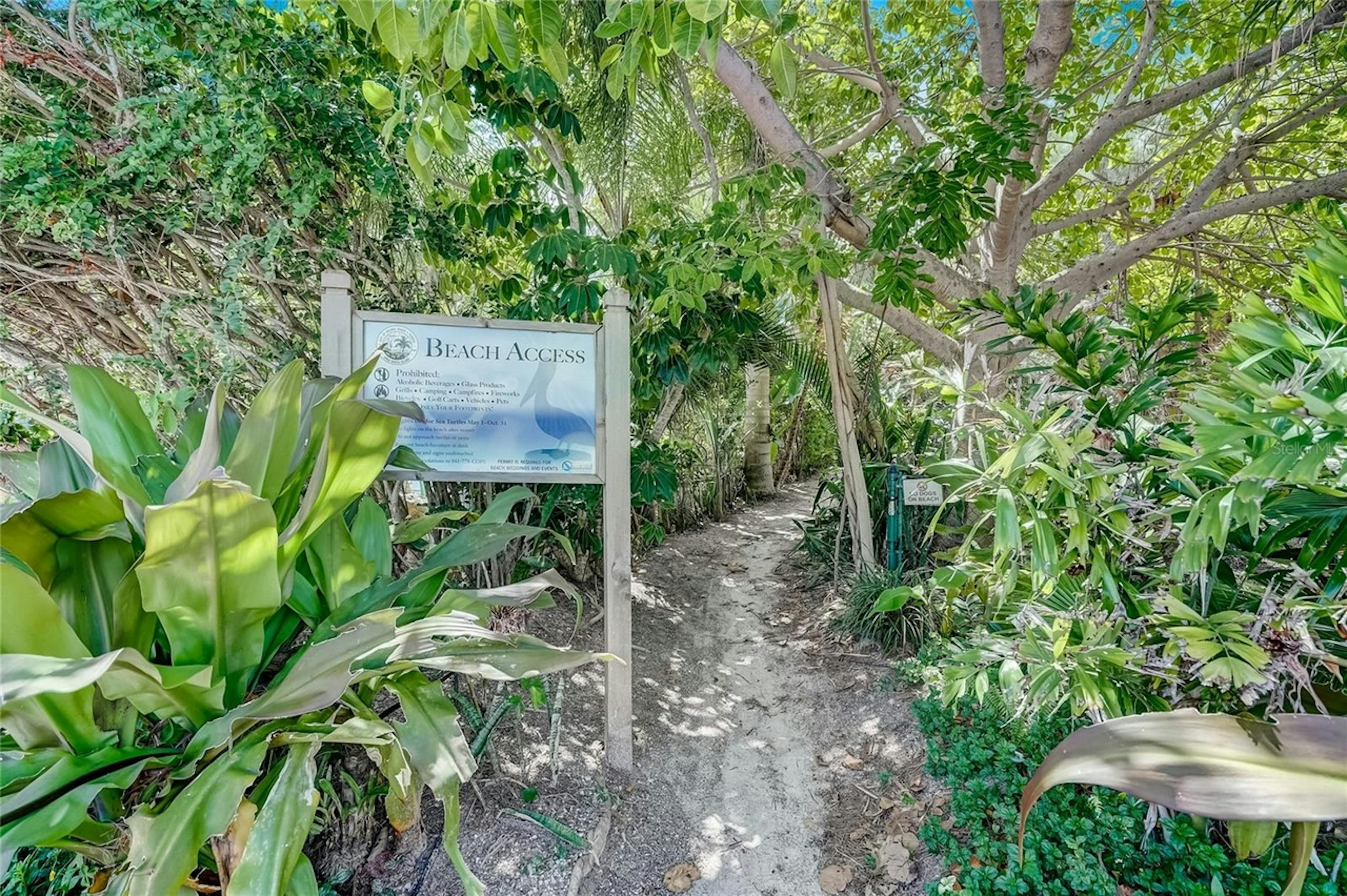 Beach Access
