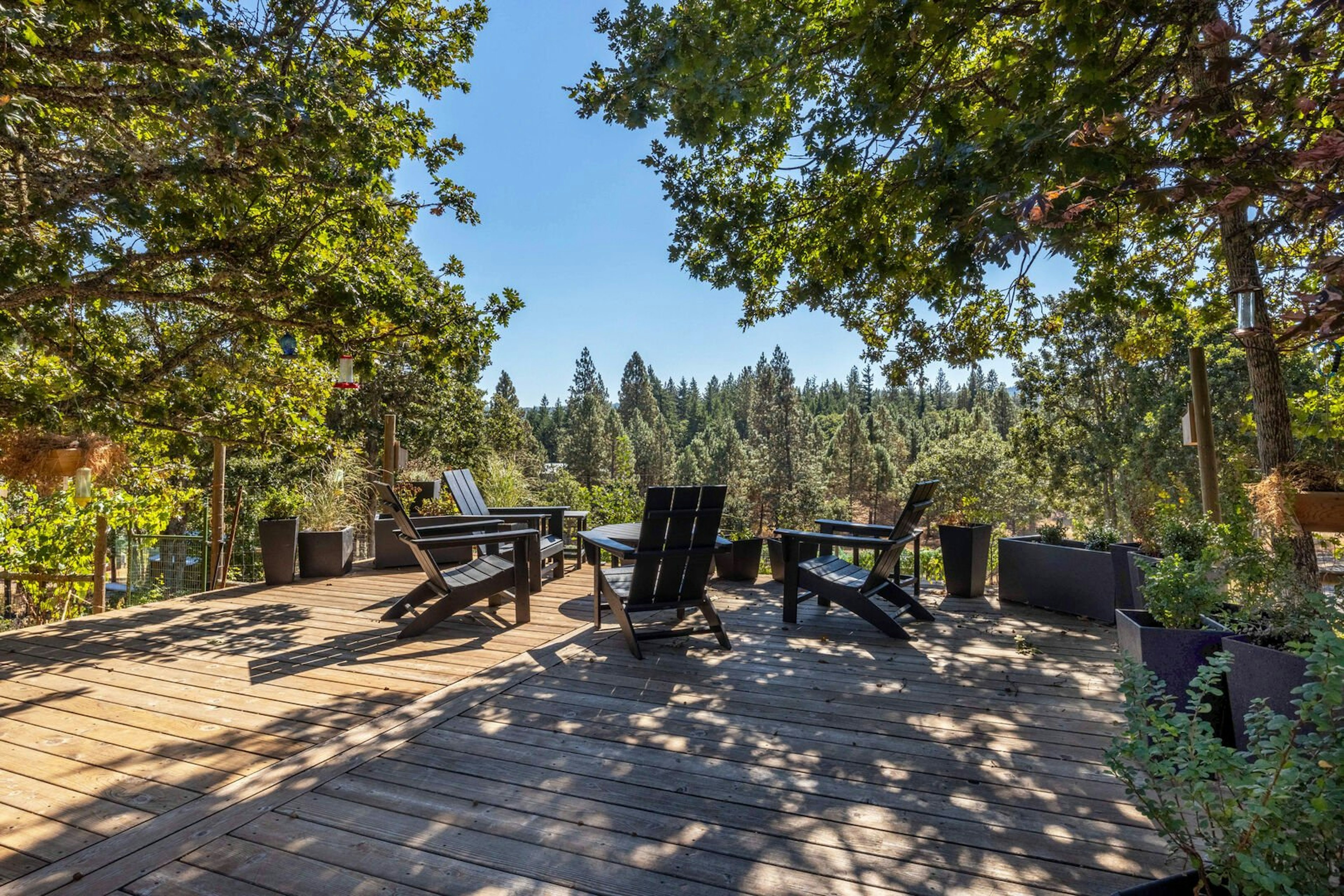 Happenstance Vineyards, photo 2