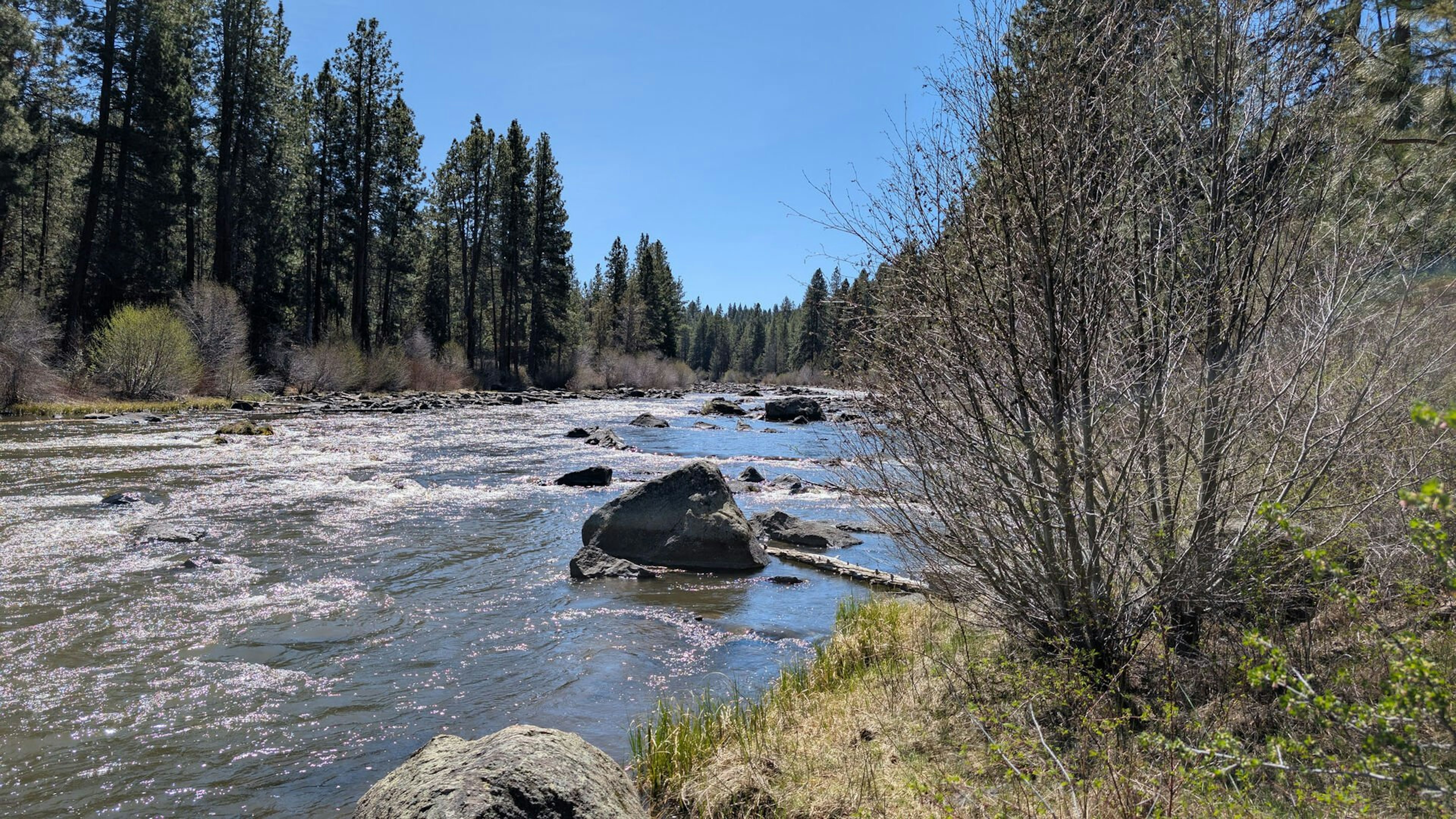 Mt Bachelor Village 324B - Deschutes River Trail