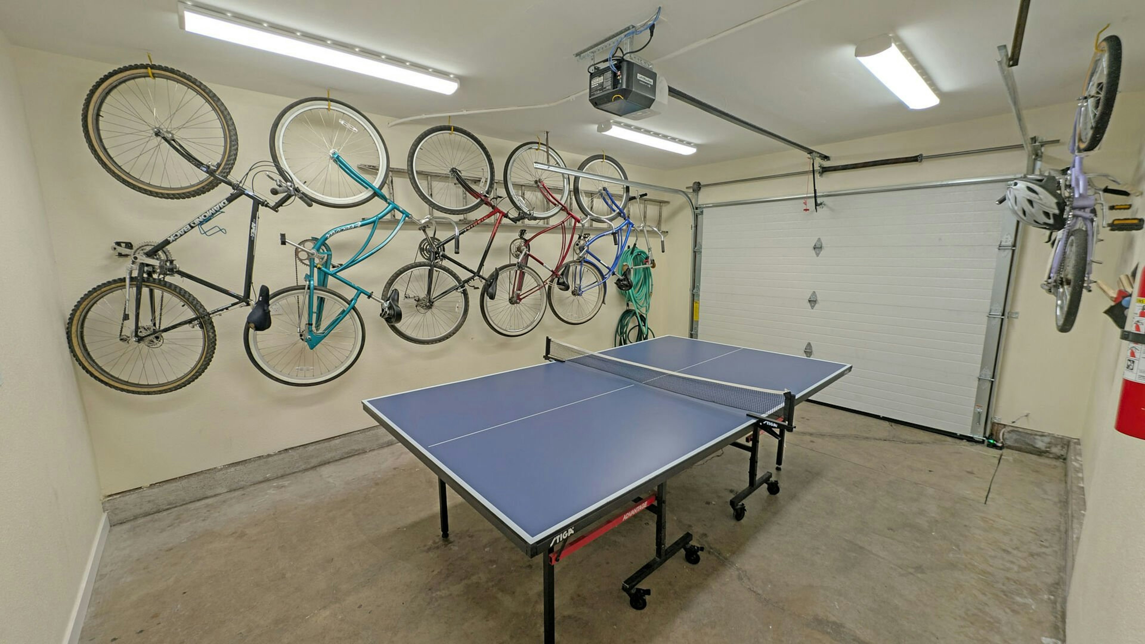 Pine Needle 2 - Garage Ping Pong and Bikes